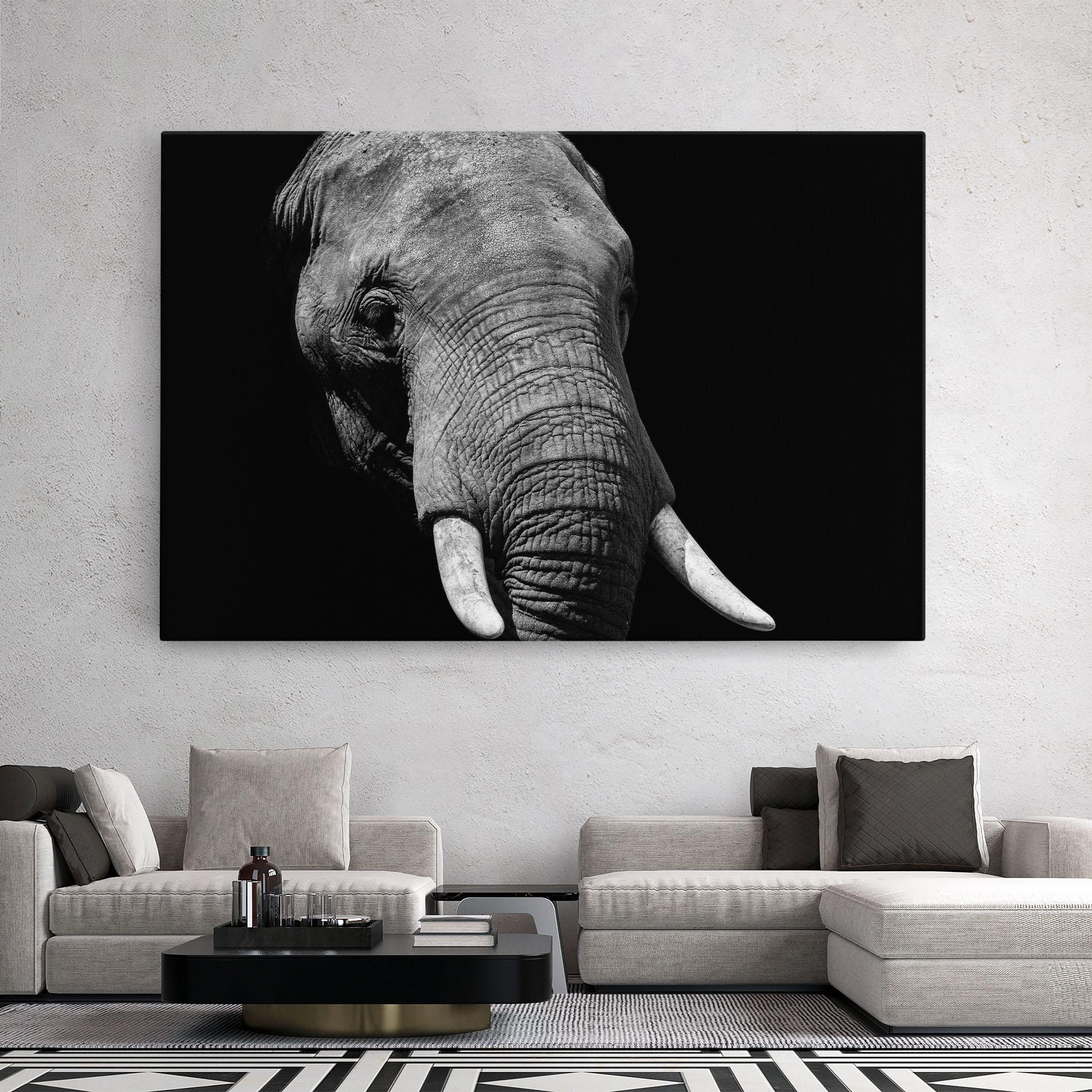Tablou Canvas Shadow Elephant mockup 2