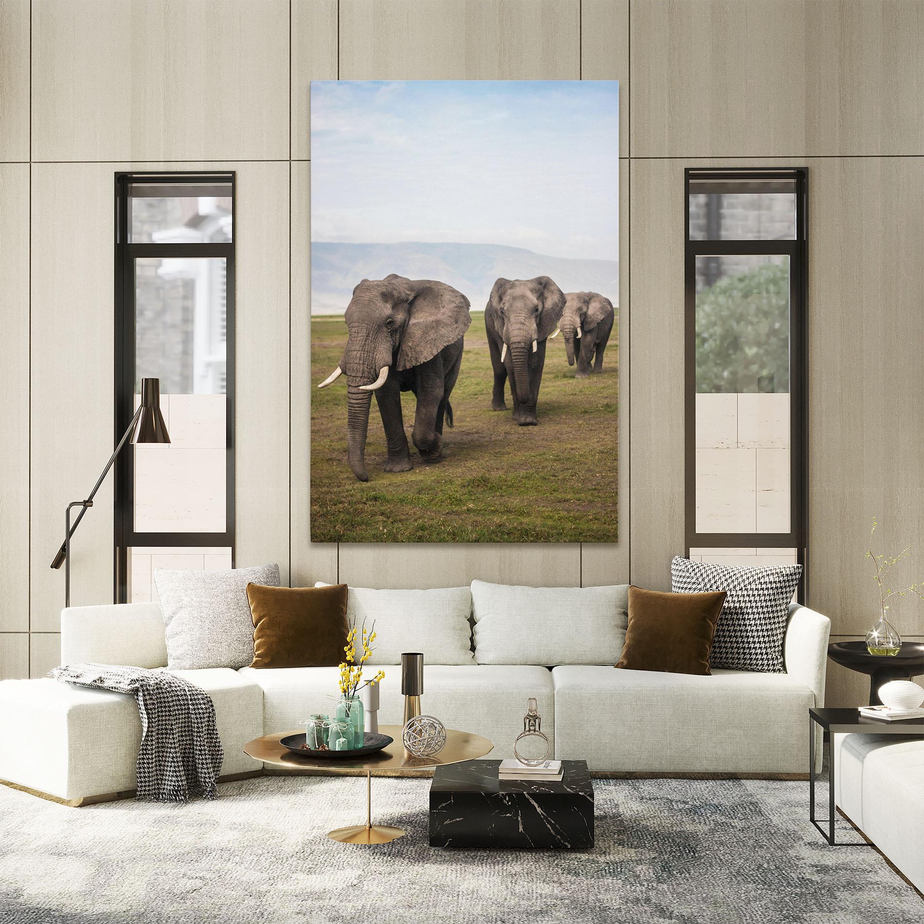 Tablou Canvas Elephant Landscape mockup 2