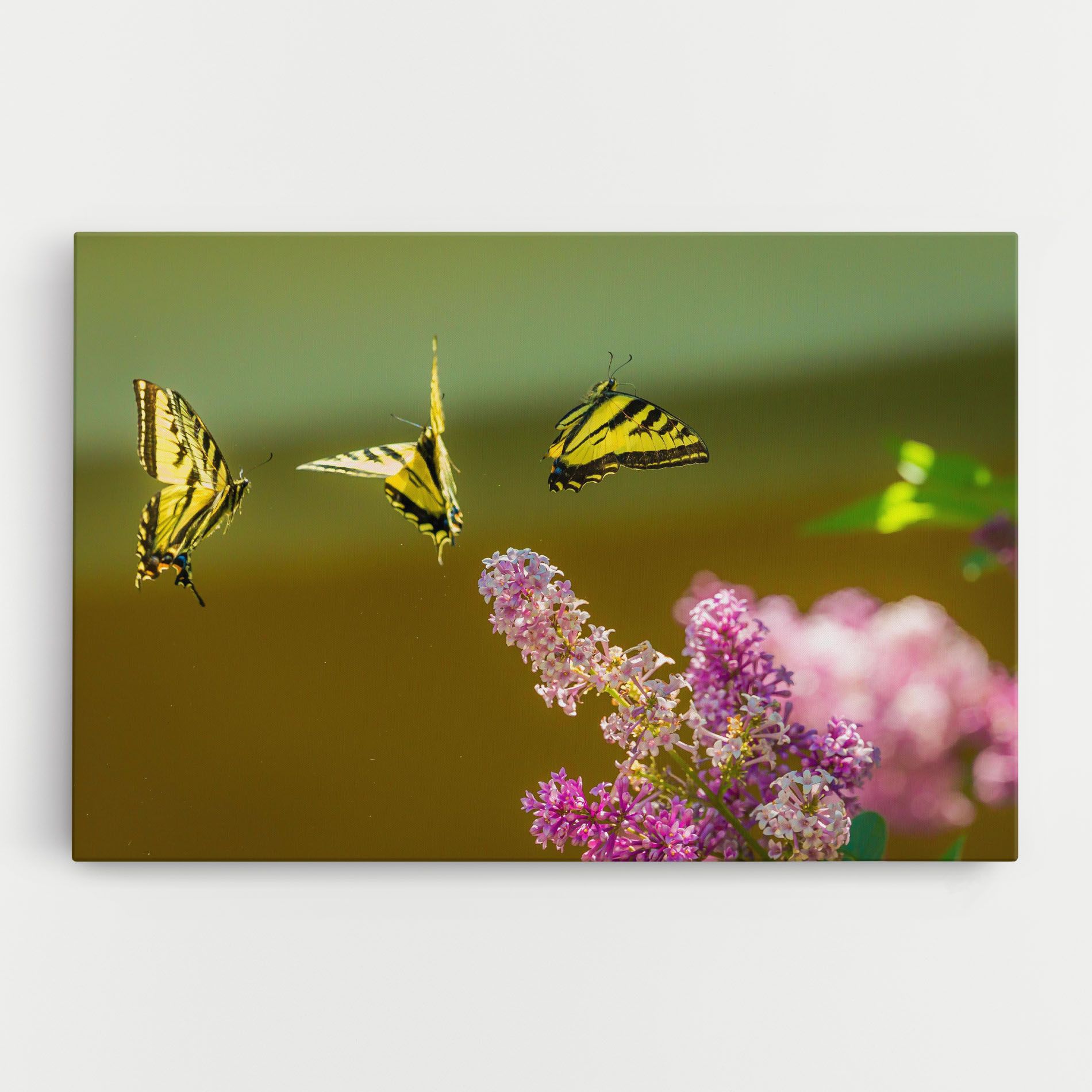 3 Yellow Butterflies mockup 0