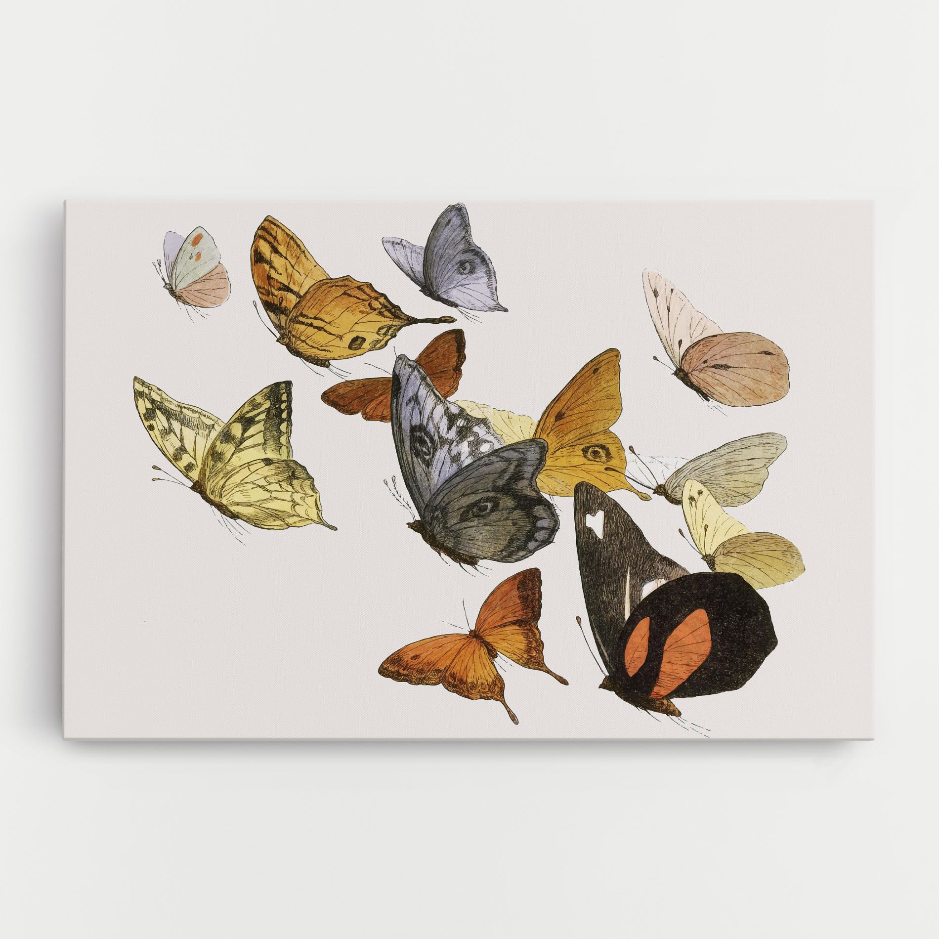 Butterfly Floating mockup 0