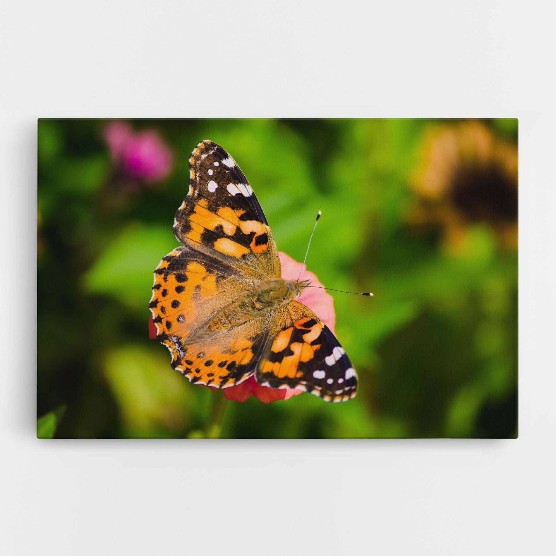 Butterfly On Flower mockup 0