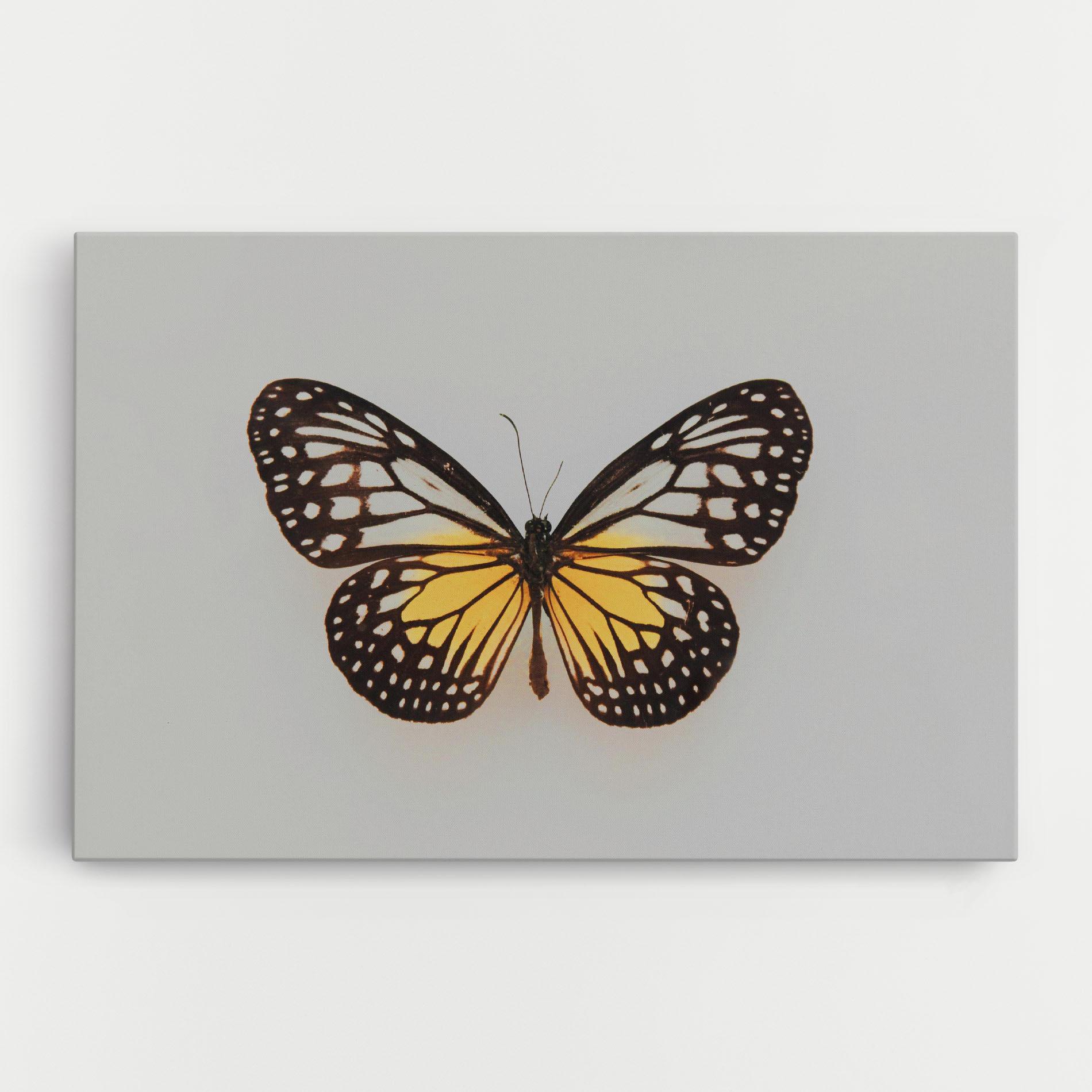 Tablou Canvas Butterfly On Grey mockup 0