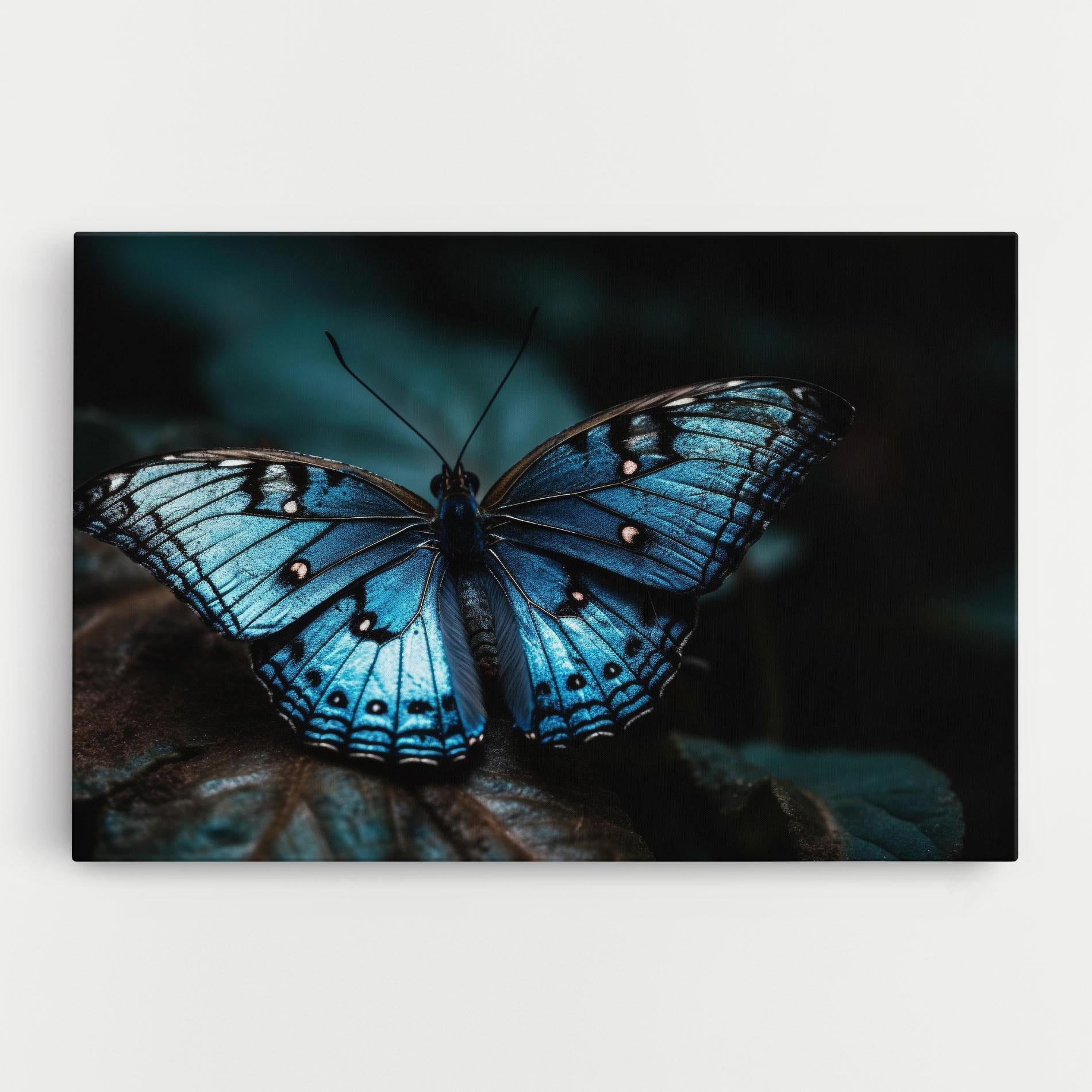 Tablou Canvas Dark Blue Buterfly mockup 0