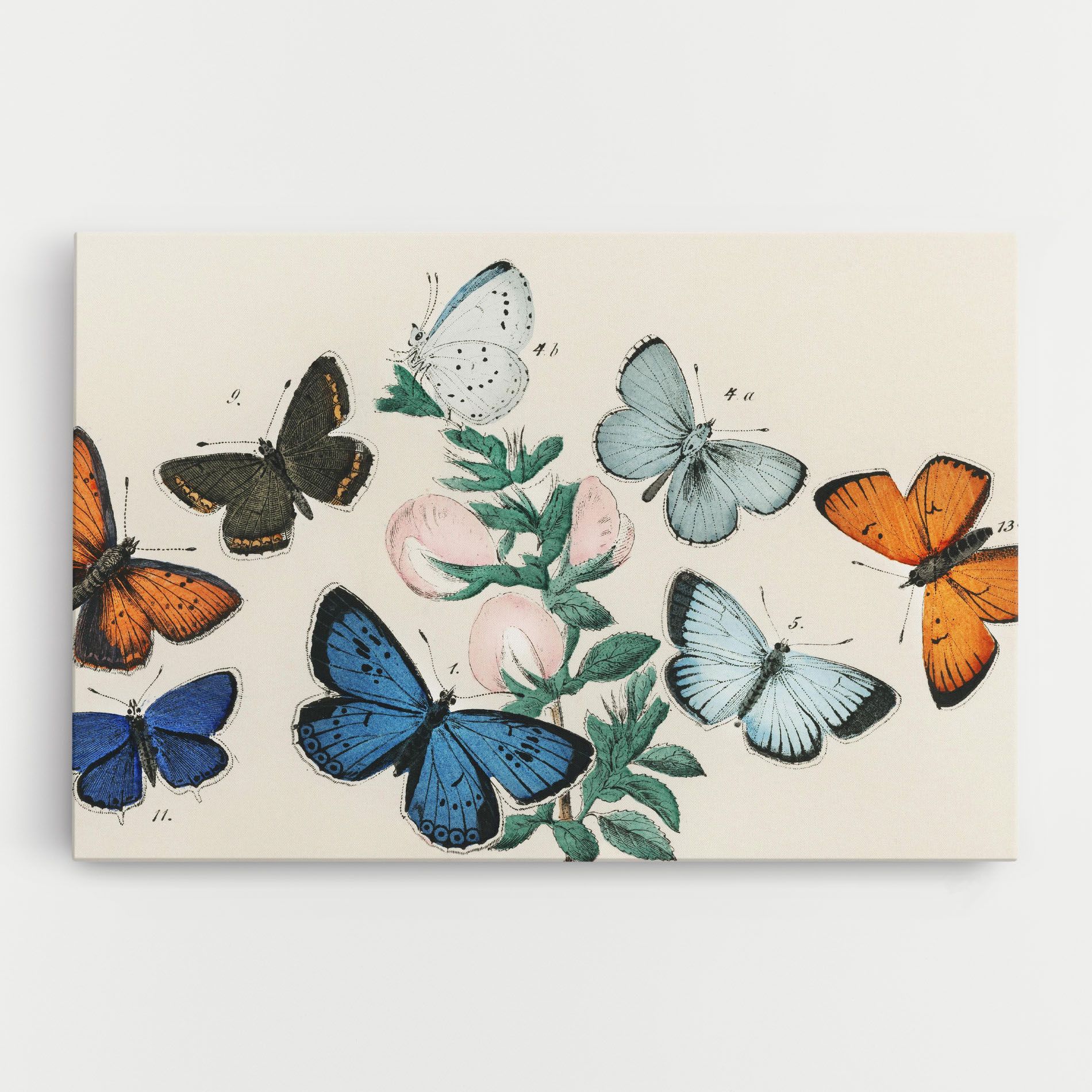 Moving Butterflies mockup 0