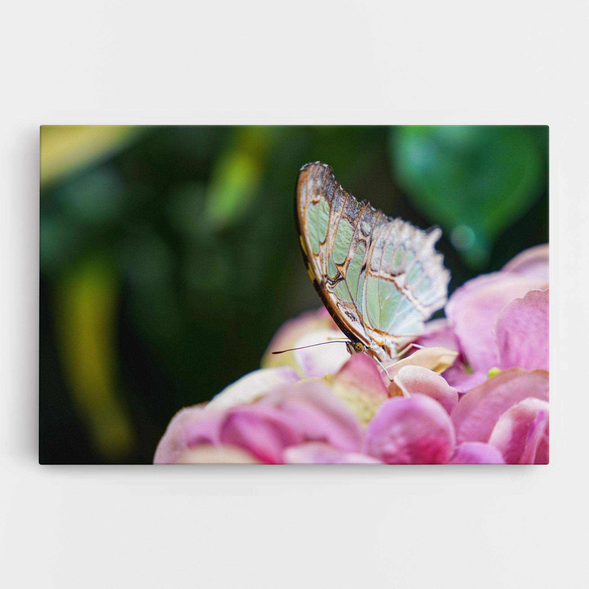 Tablou Canvas Nazrin Babashova DiUUmQMFWys Unsplash mockup 0