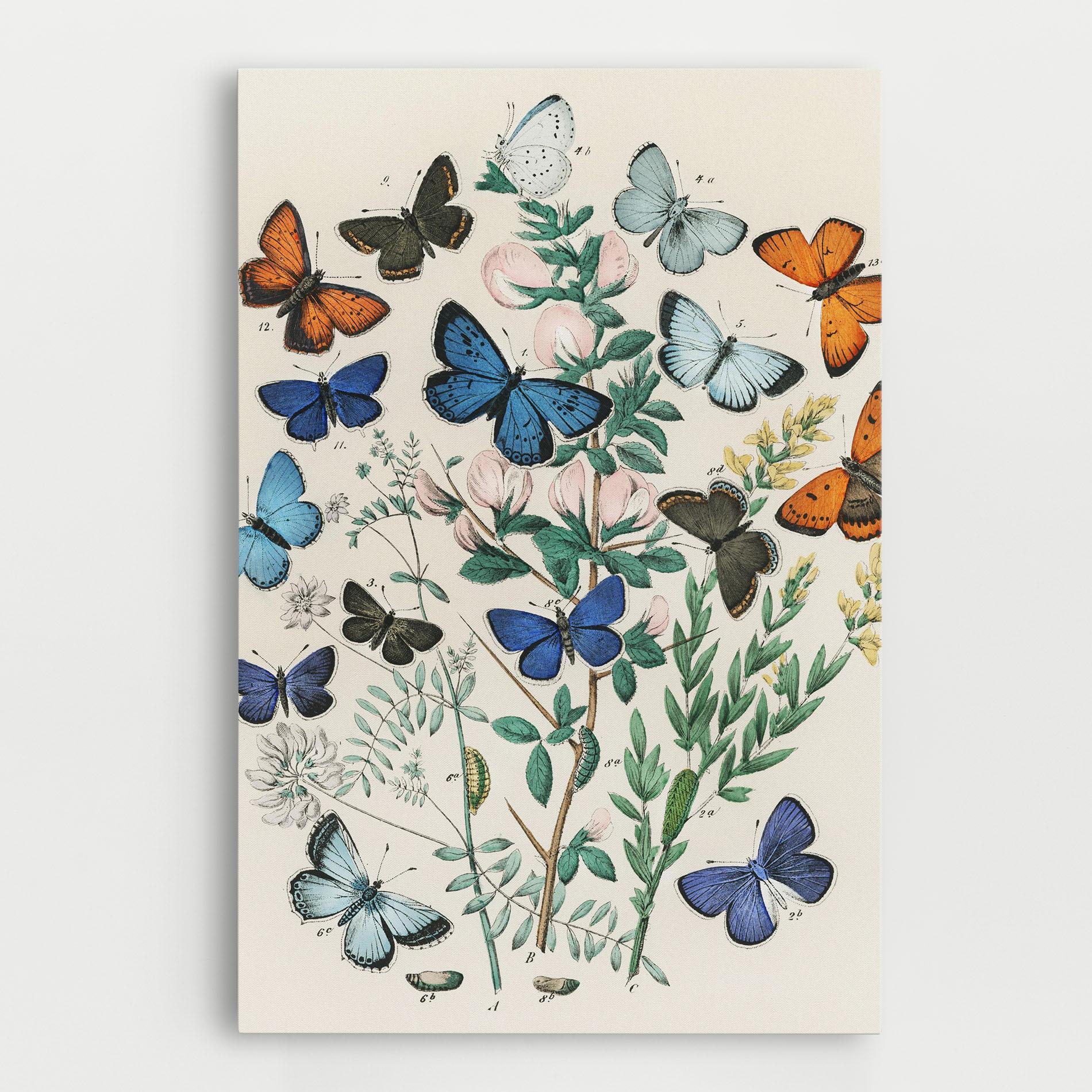 Tablou Canvas Blue Orange Butterflies mockup 0