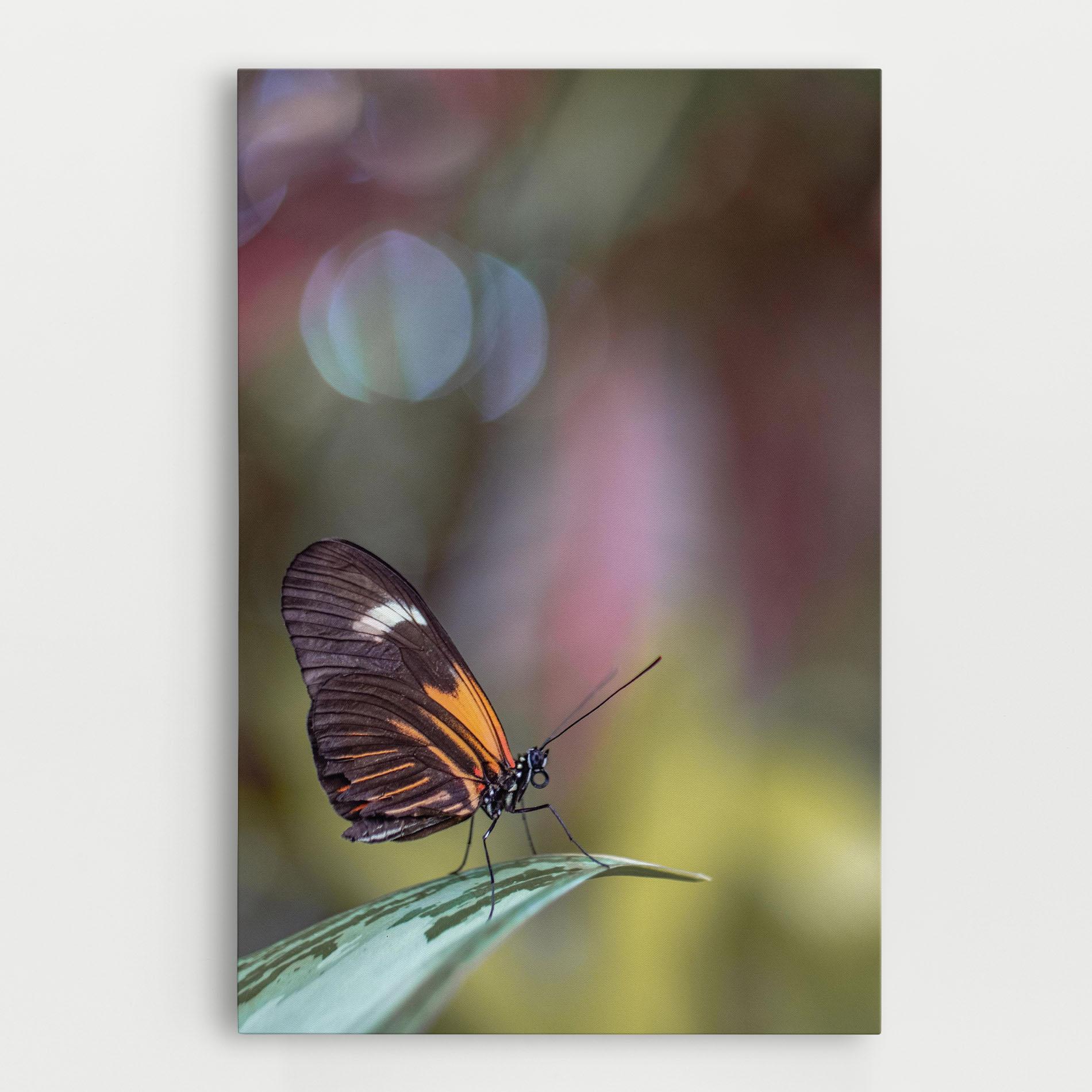 Tablou Canvas Dark Purple Butterfly mockup 0