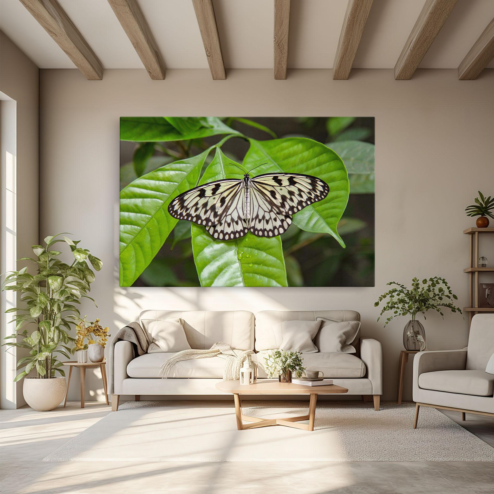Tablou Canvas Beautiful White Butterfly mockup 6