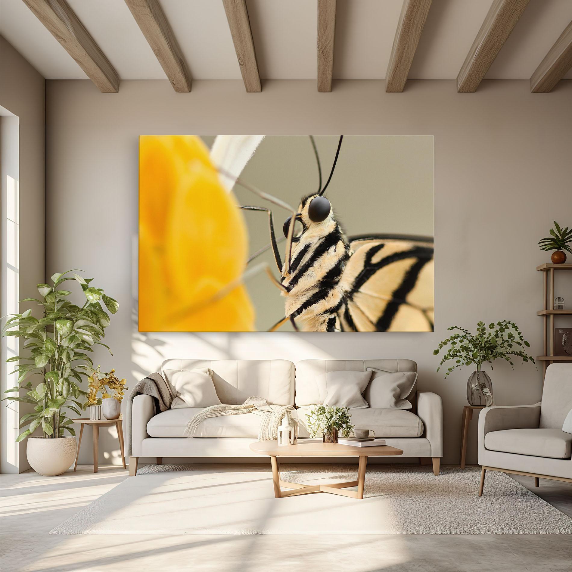 Tablou Canvas Close Up Cream Butterfly mockup 6