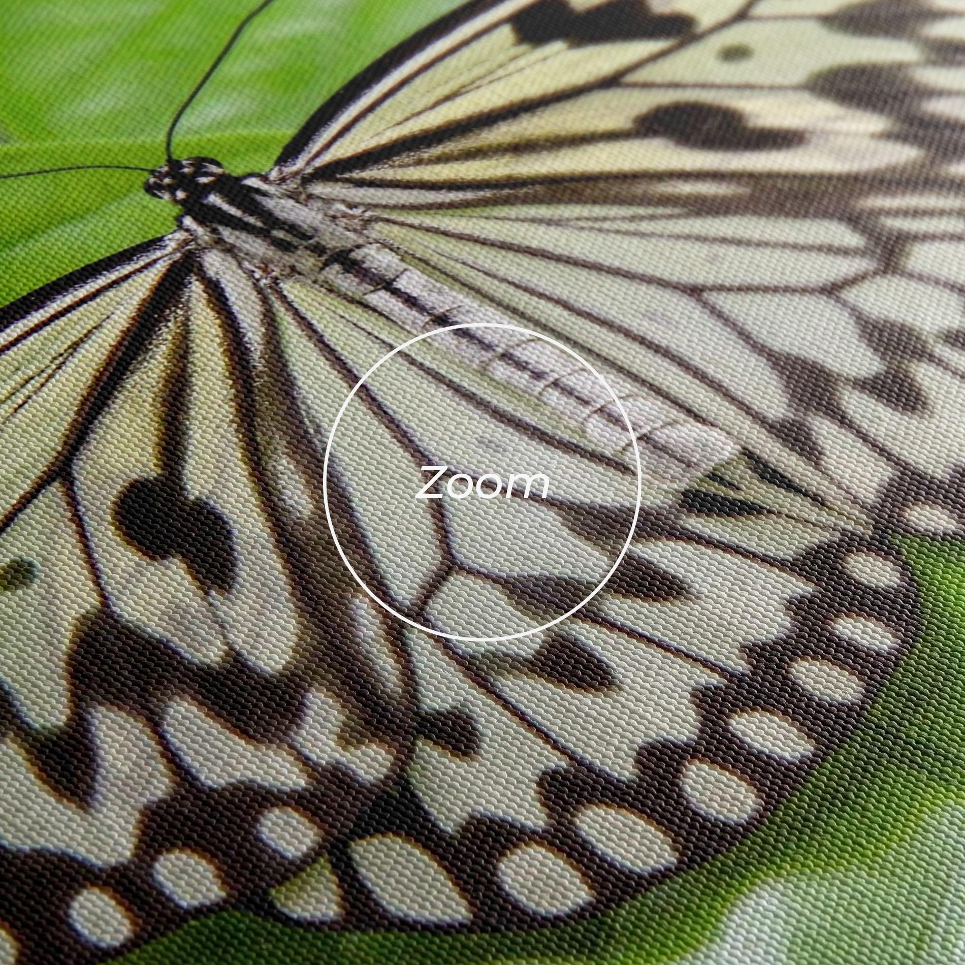 Tablou Canvas Beautiful White Butterfly mockup 3