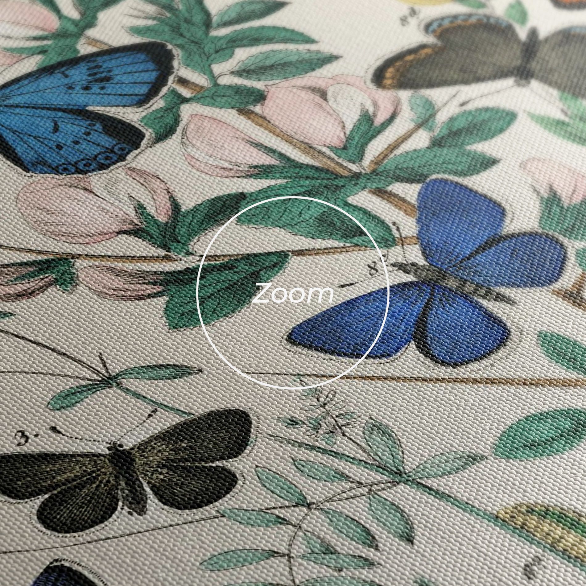 Blue Orange Butterflies mockup 3