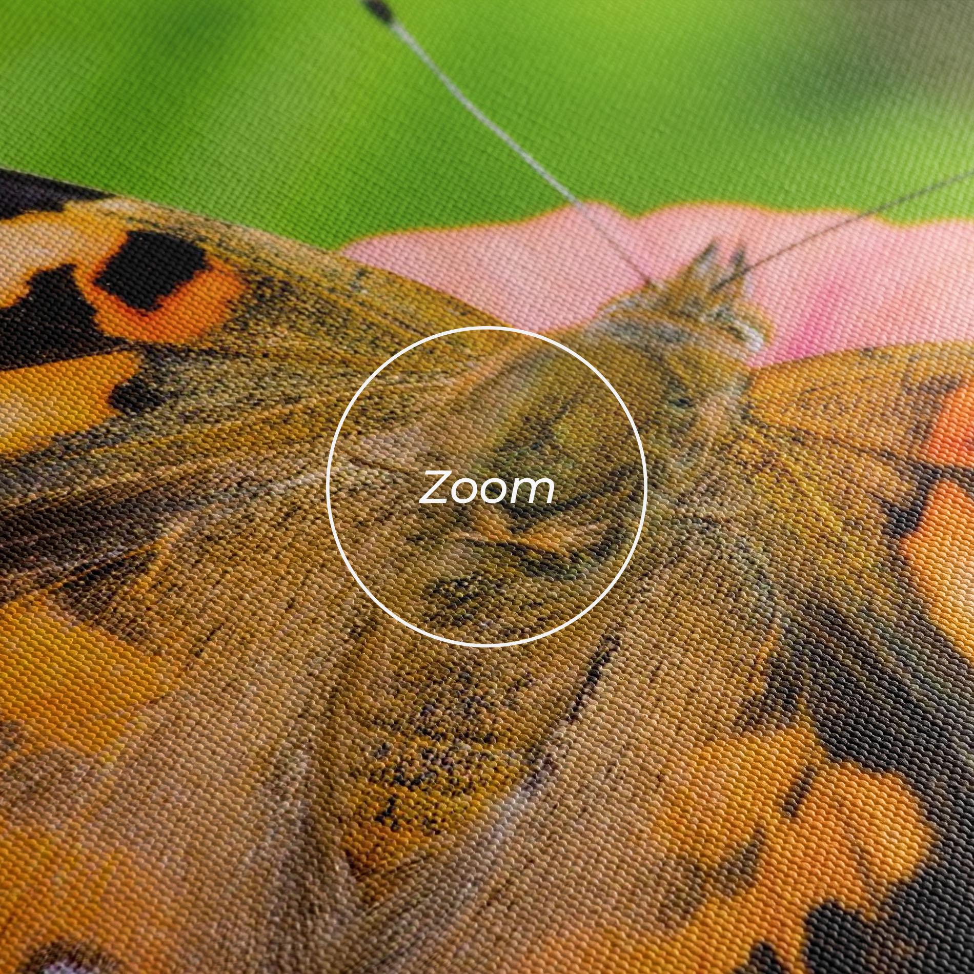 Tablou Canvas Butterfly On Flower mockup 3