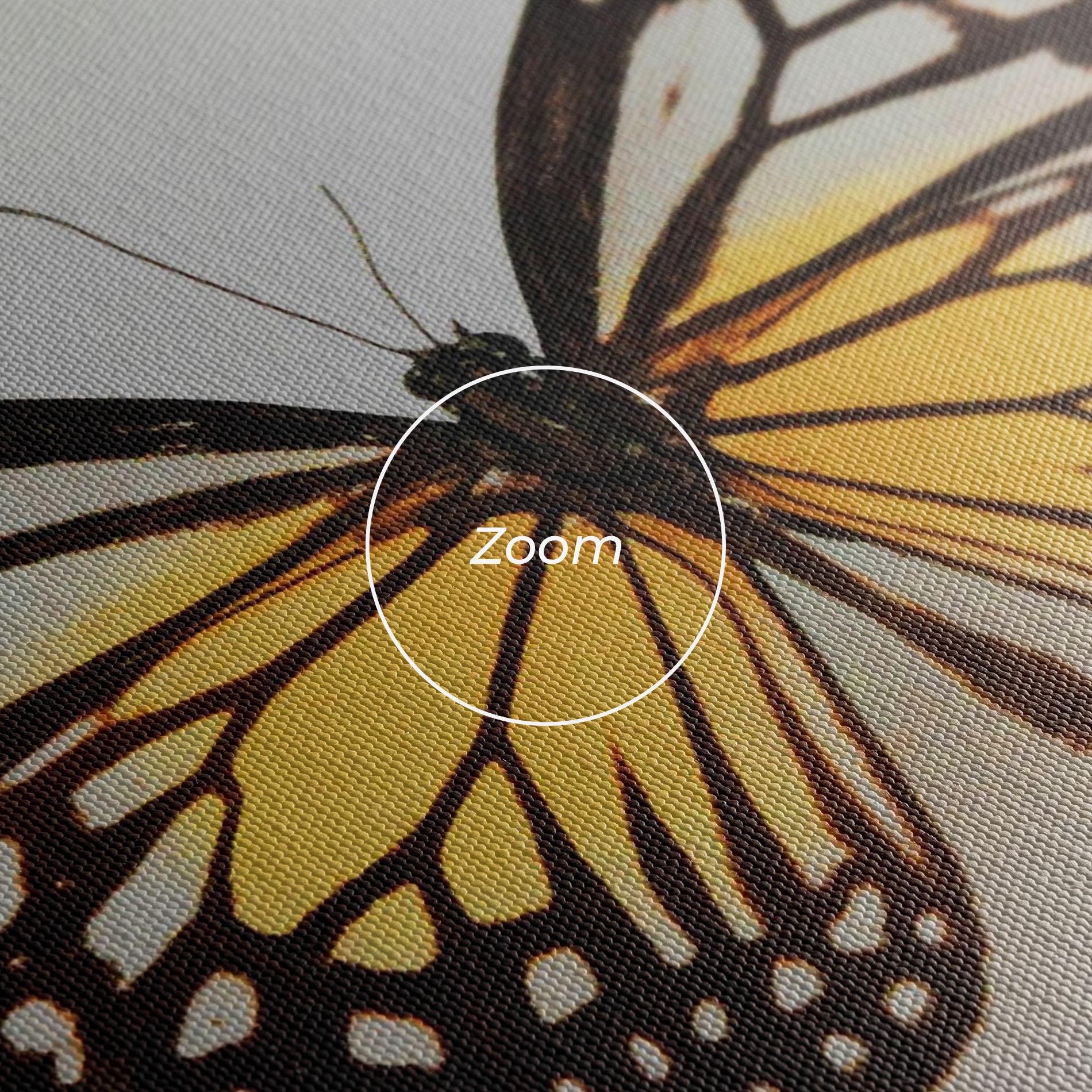 Tablou Canvas Butterfly On Grey mockup 3