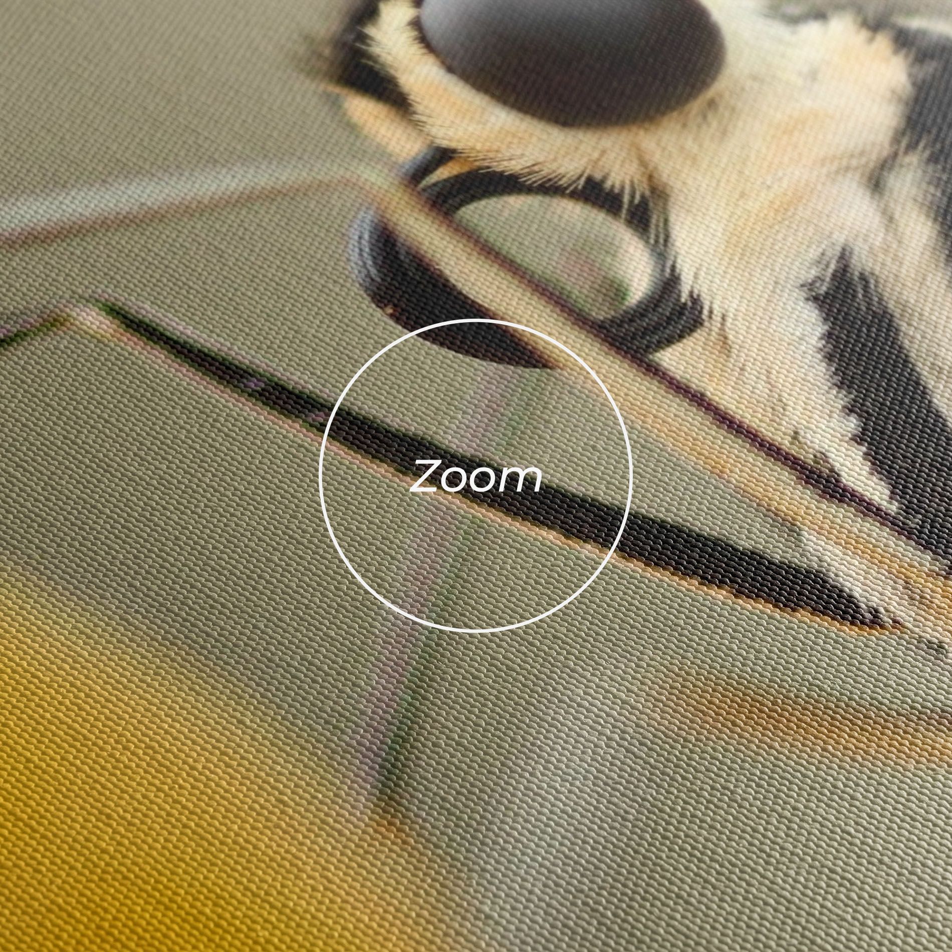 Close Up Cream Butterfly mockup 3