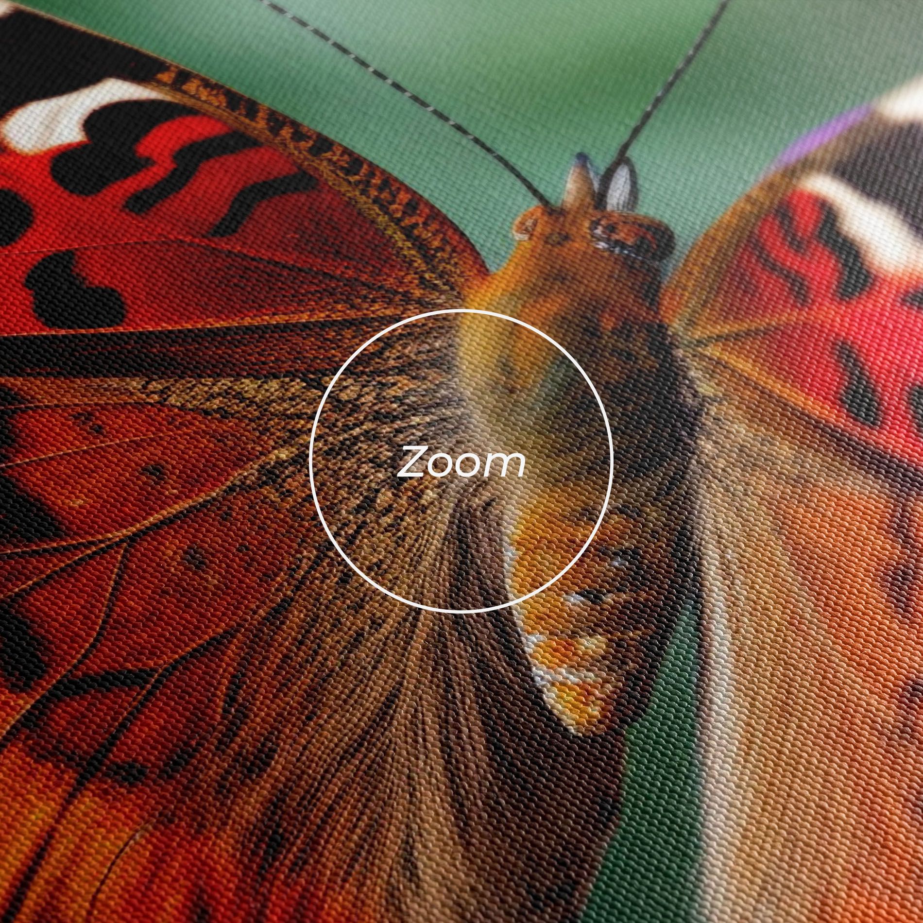 Red Blue Butterfly mockup 3