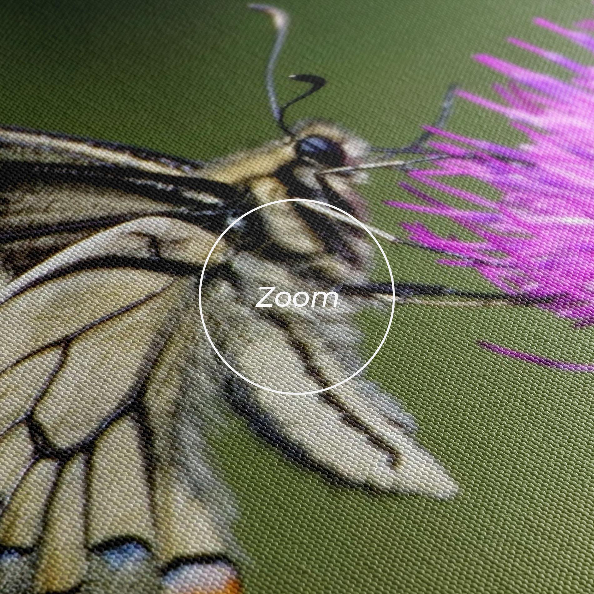 Tablou Canvas White Butterfly Pollen mockup 3