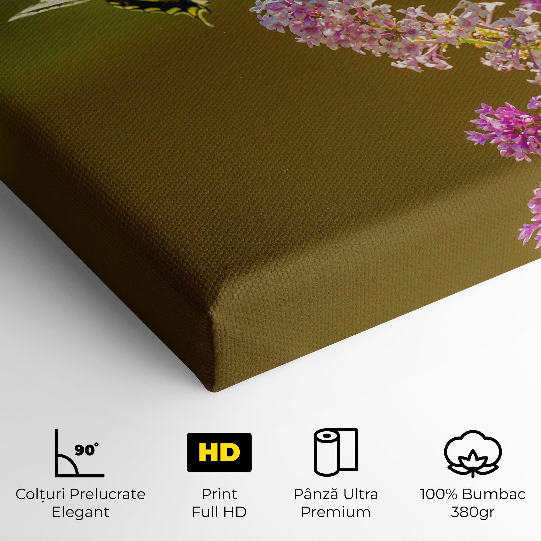 3 Yellow Butterflies mockup 4
