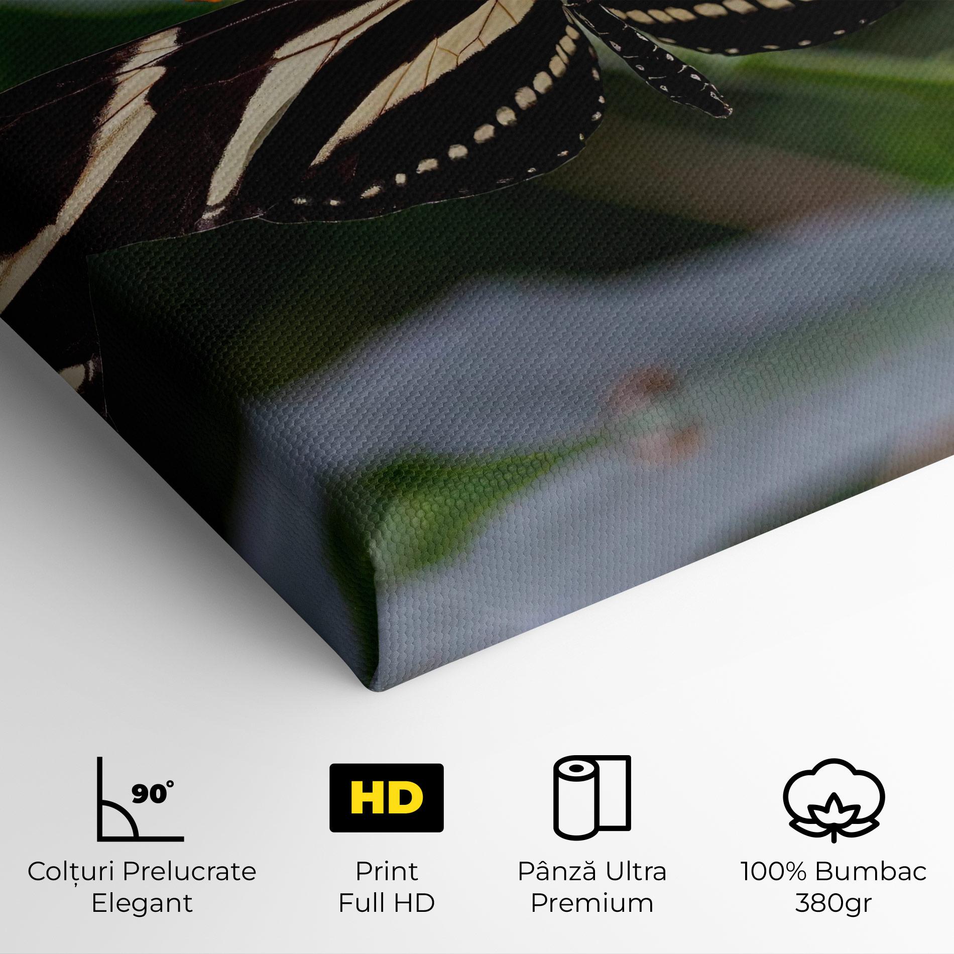 Tablou Canvas Big Wings Butterfly mockup 4