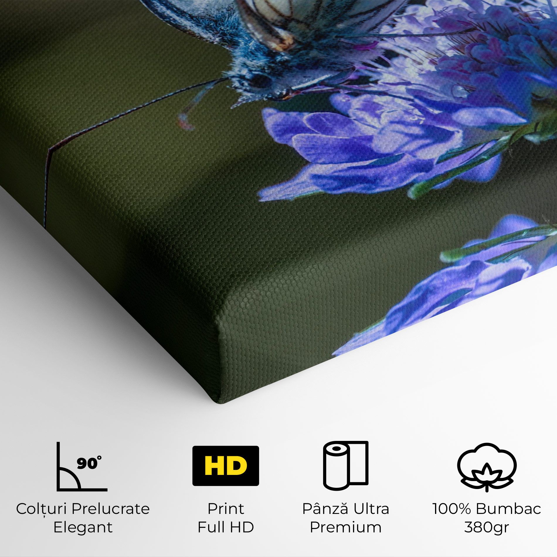 Blue Butterfly In Nature mockup 4