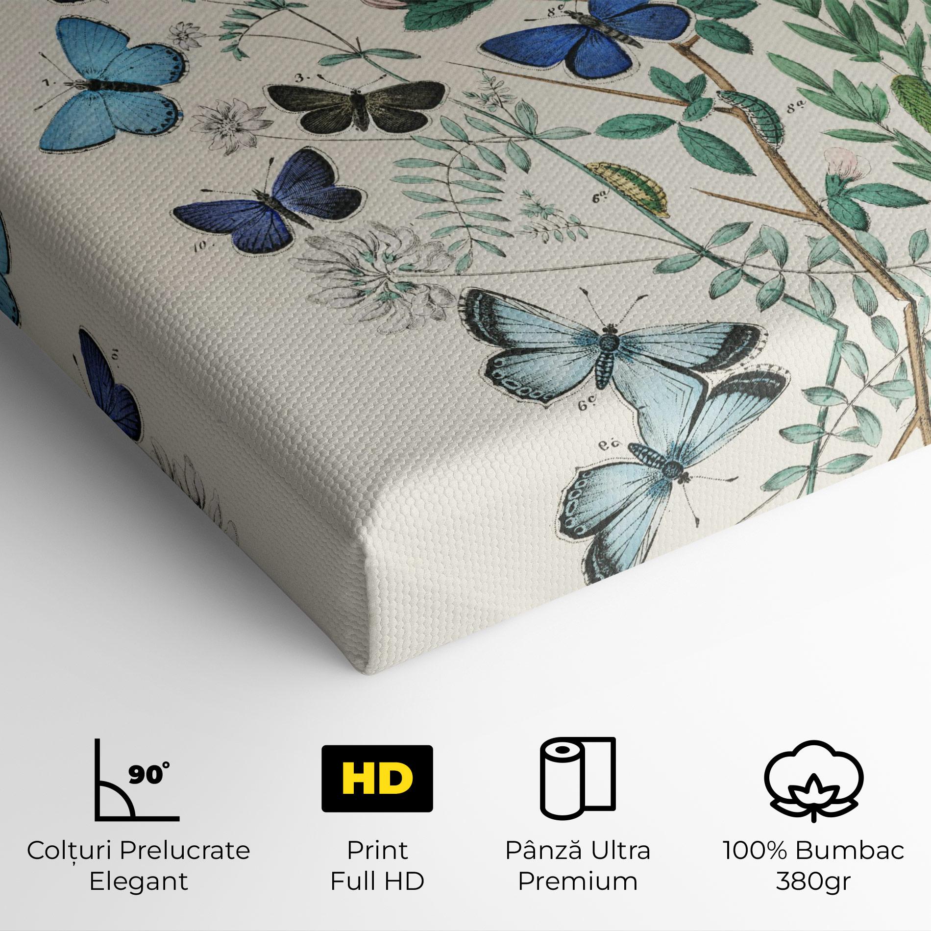 Tablou Canvas Blue Orange Butterflies mockup 4
