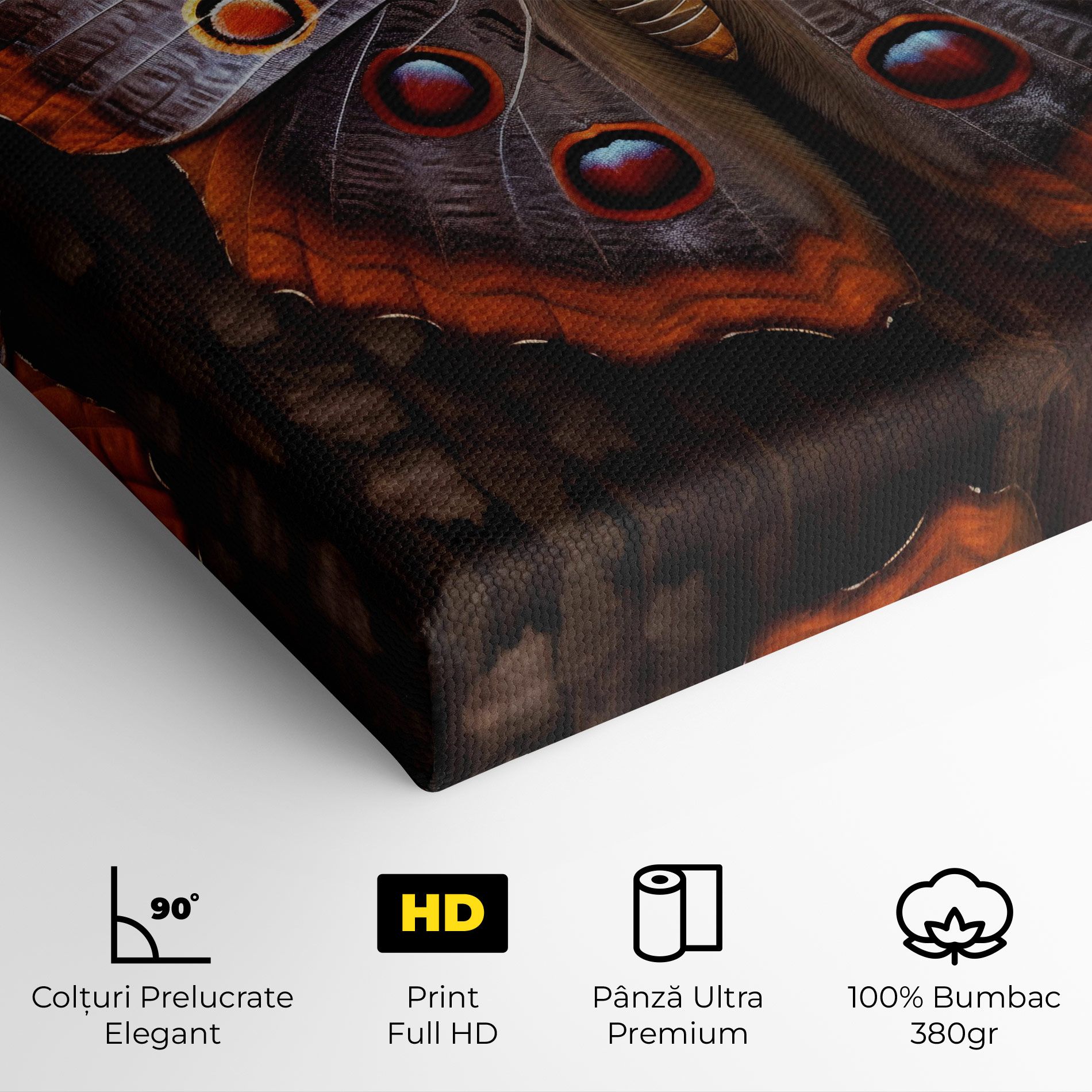 Brown Eyes Butterfly mockup 4