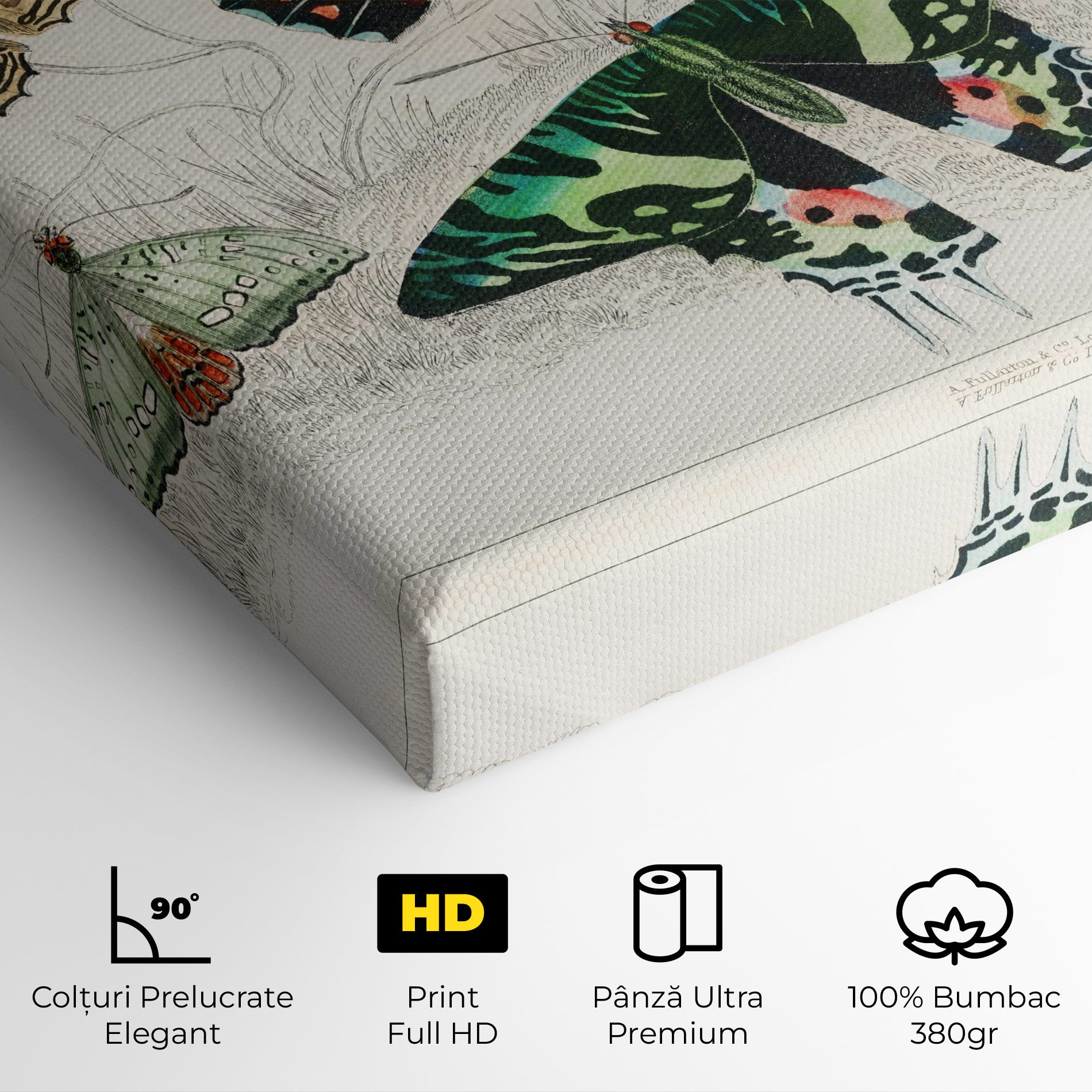 Butterfly Art mockup 4