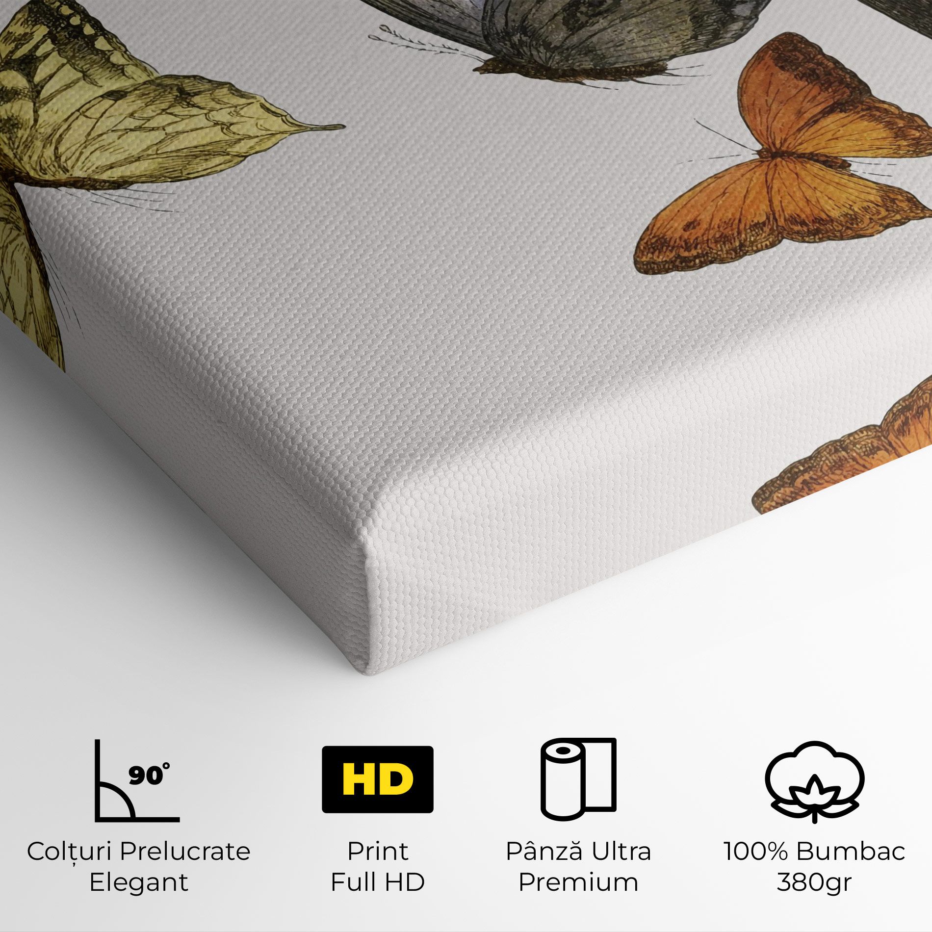 Butterfly Floating mockup 4