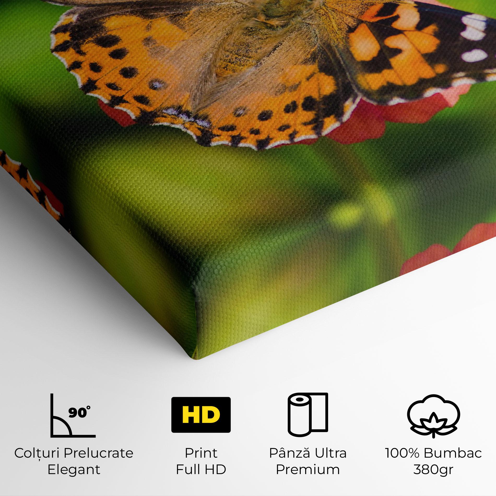 Tablou Canvas Butterfly On Flower mockup 4