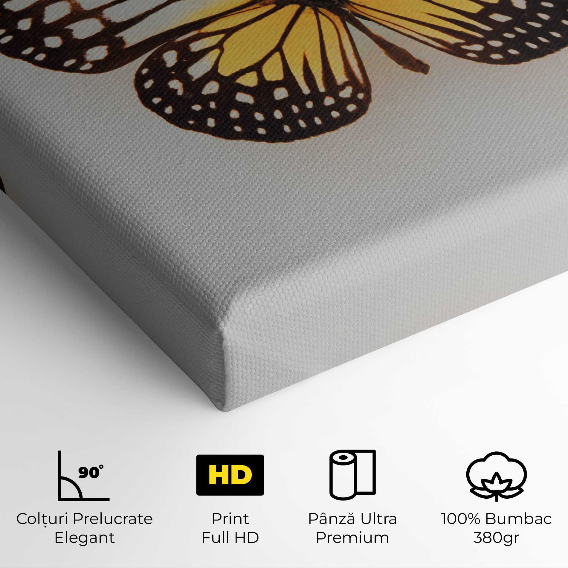 Butterfly On Grey mockup 4