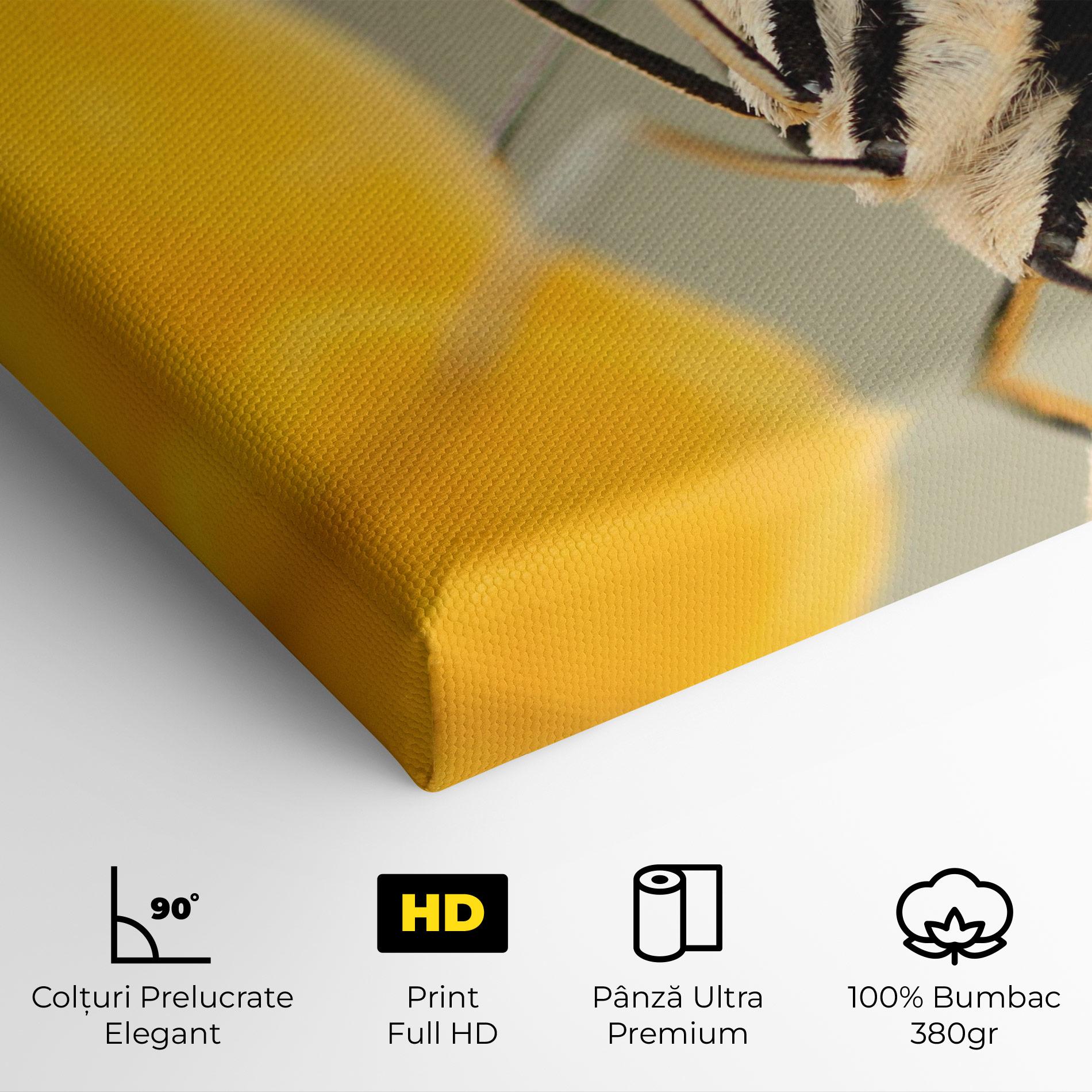 Tablou Canvas Close Up Cream Butterfly mockup 4