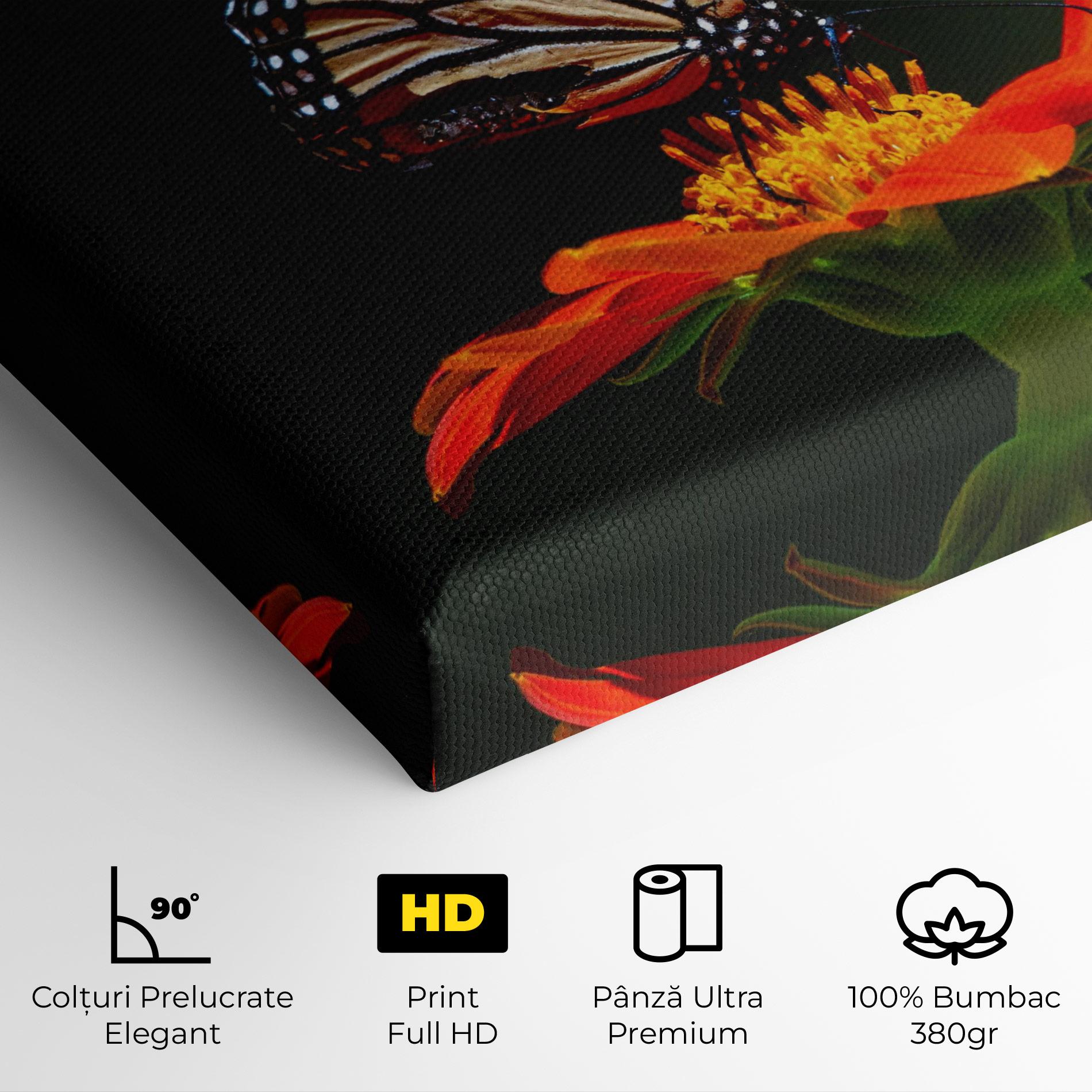 Tablou Canvas Dark Orange Butterfy mockup 4