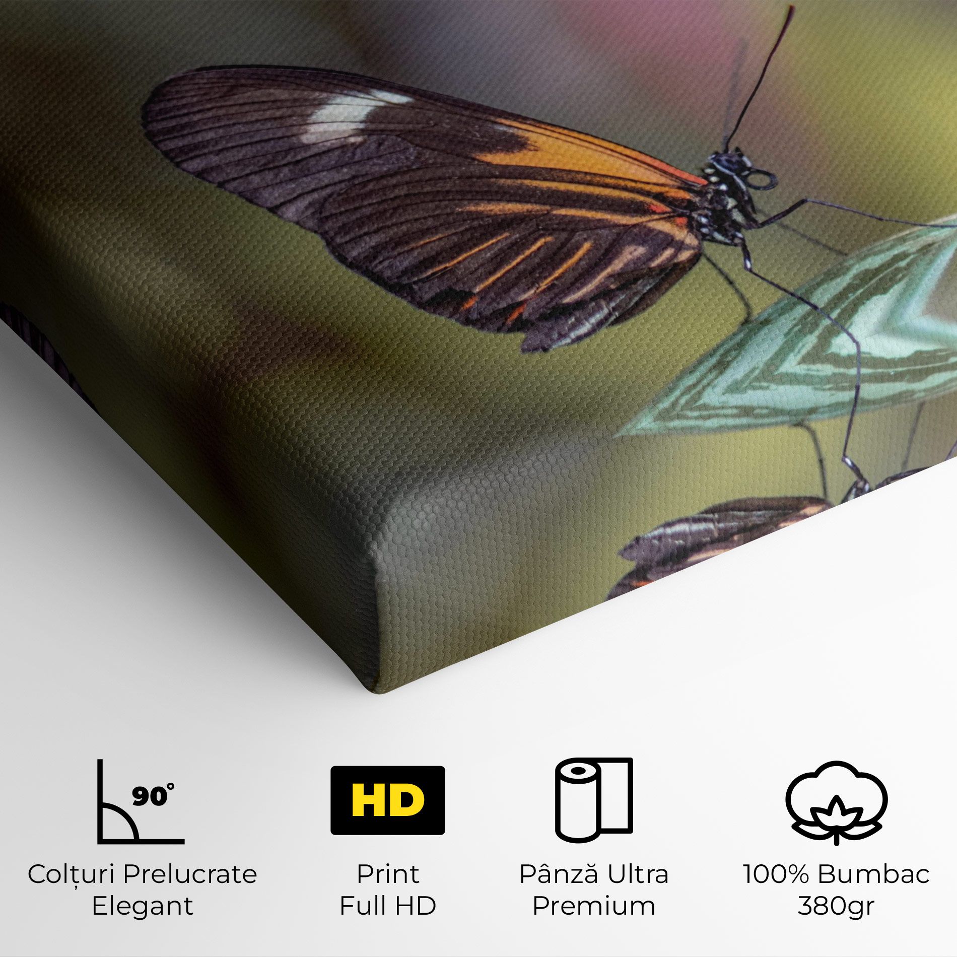 Dark Purple Butterfly mockup 4