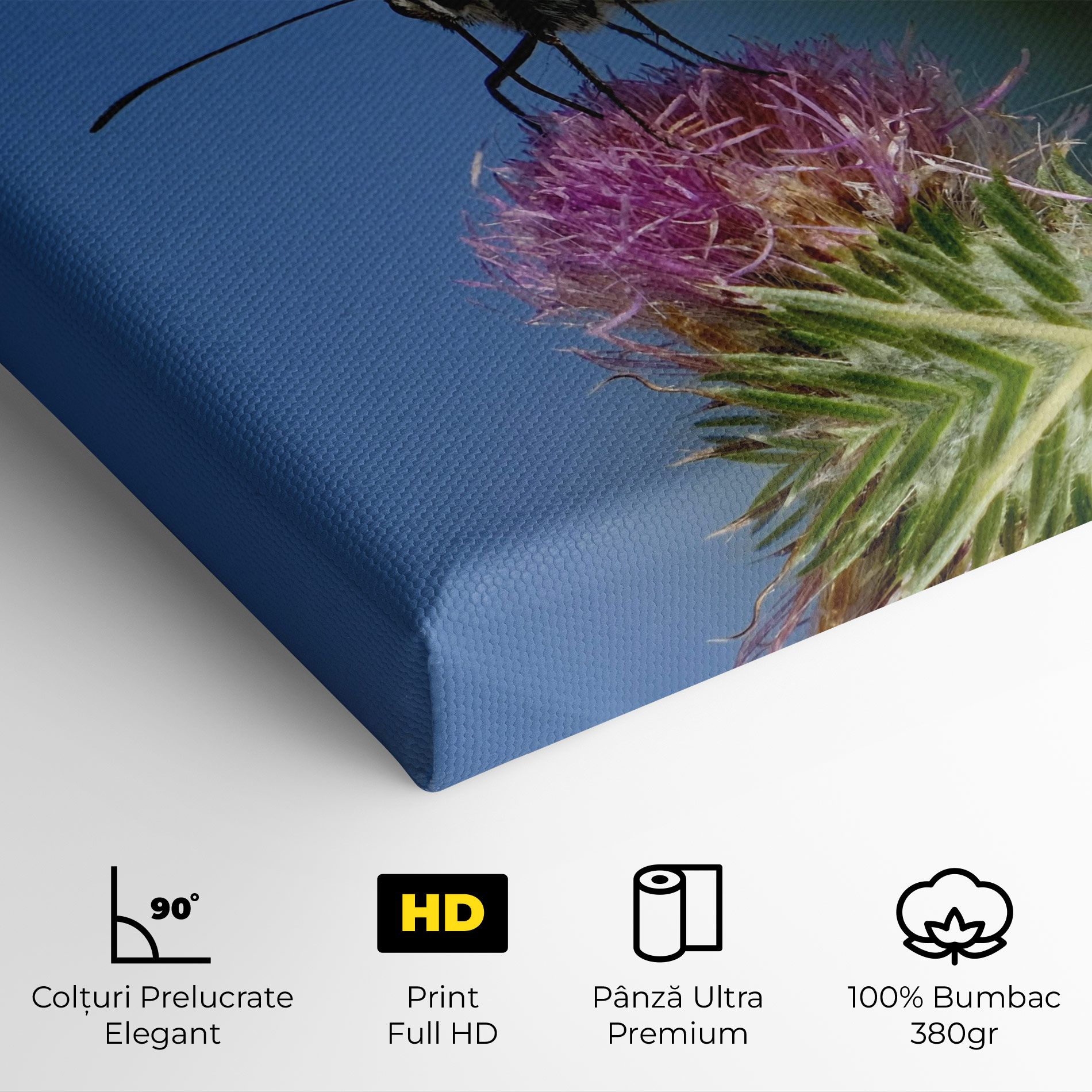 Grey White Butterfly mockup 4