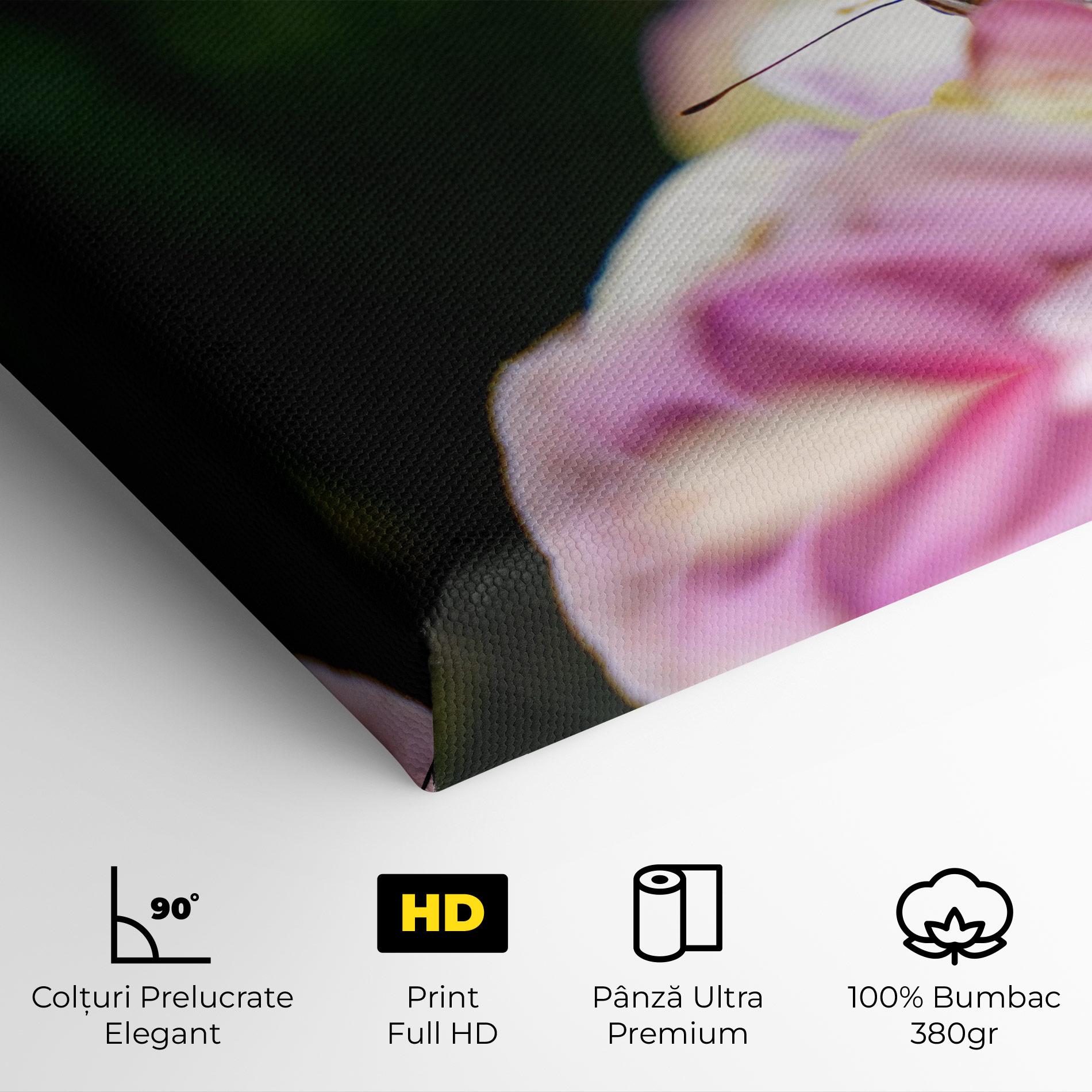 Tablou Canvas Nazrin Babashova DiUUmQMFWys Unsplash mockup 4