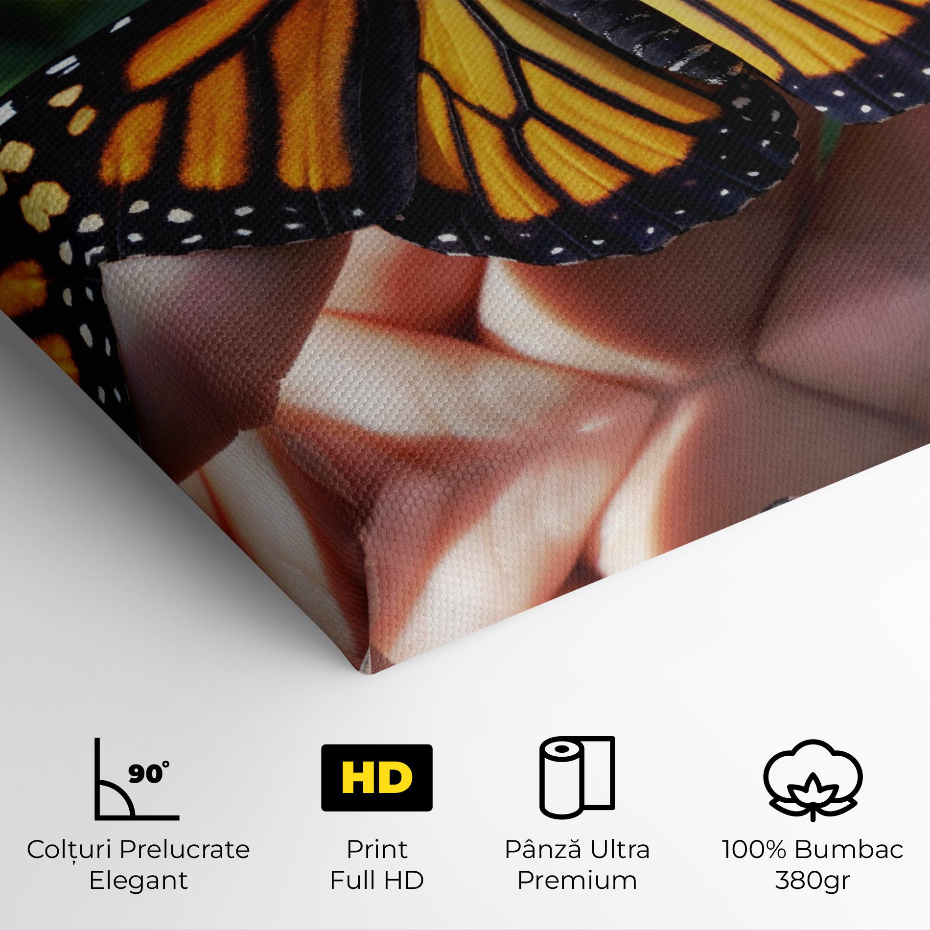 Open Orange Butterfly mockup 4