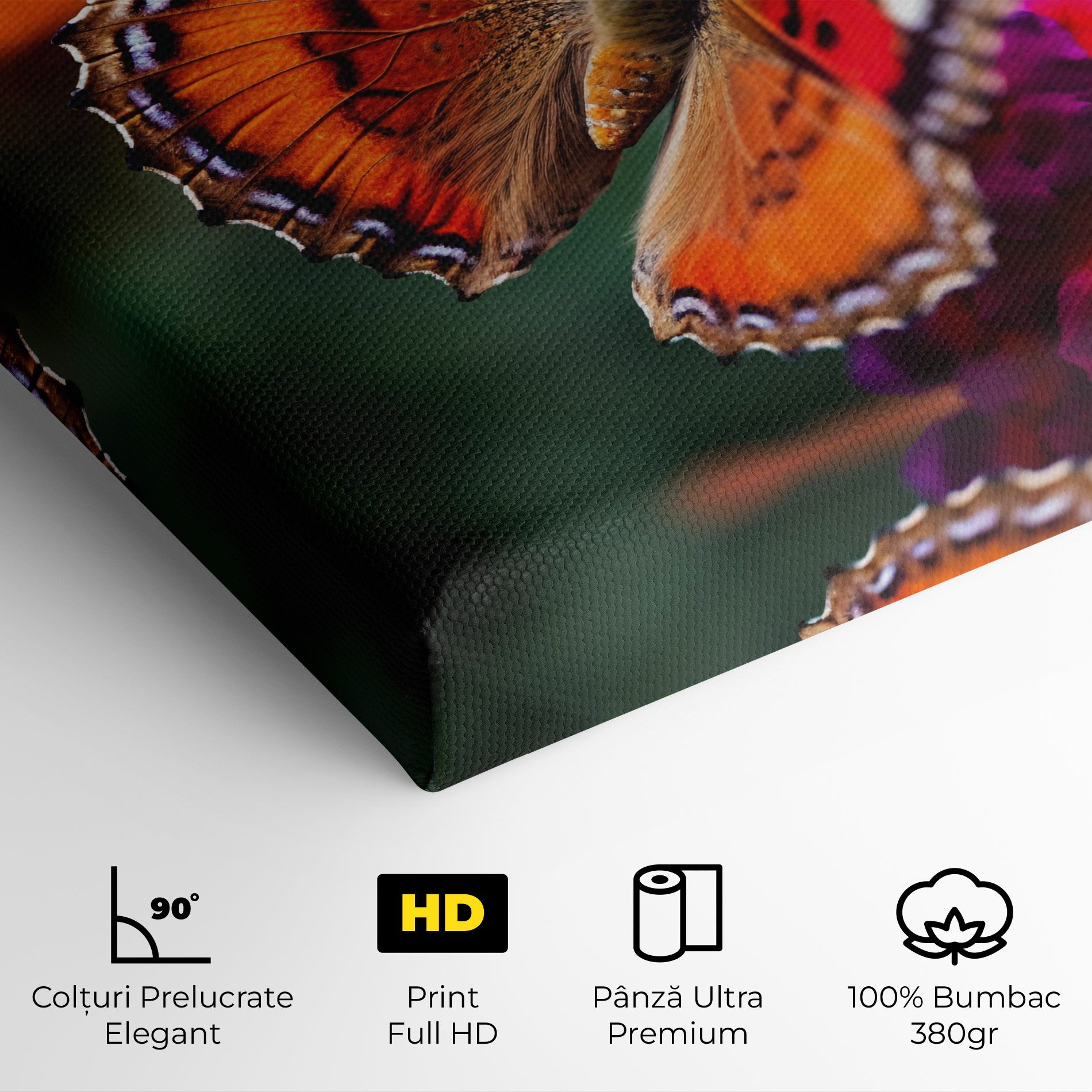 Red Blue Butterfly mockup 4