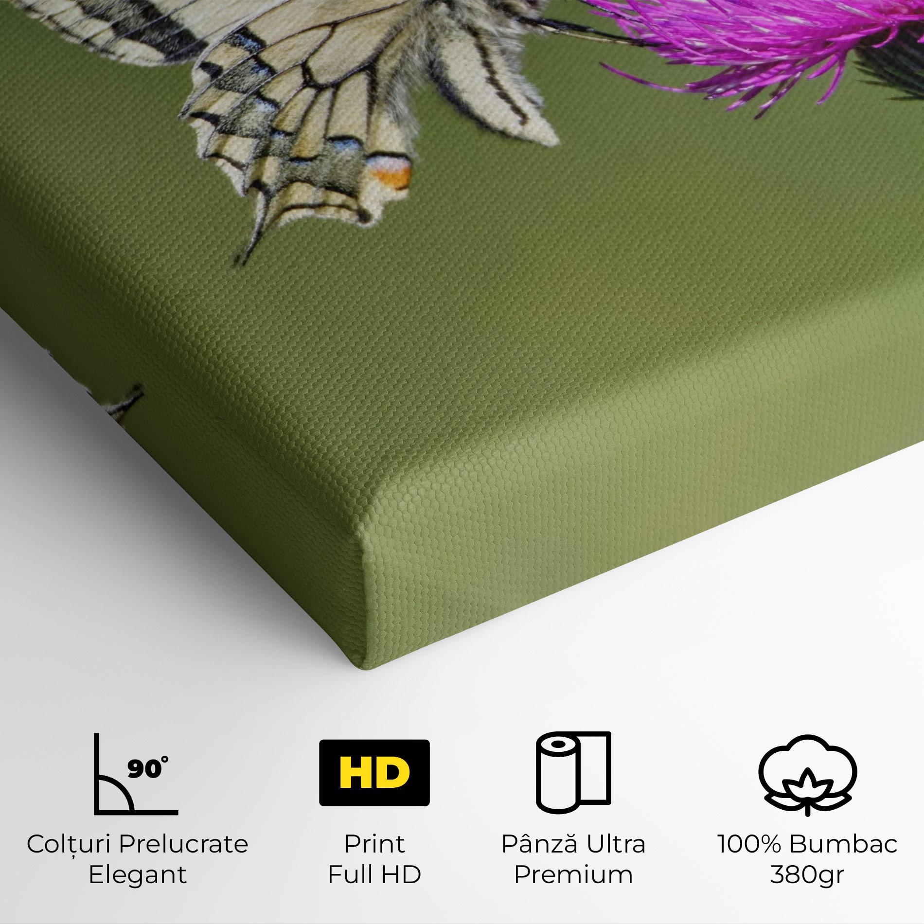 Tablou Canvas White Butterfly Pollen mockup 4