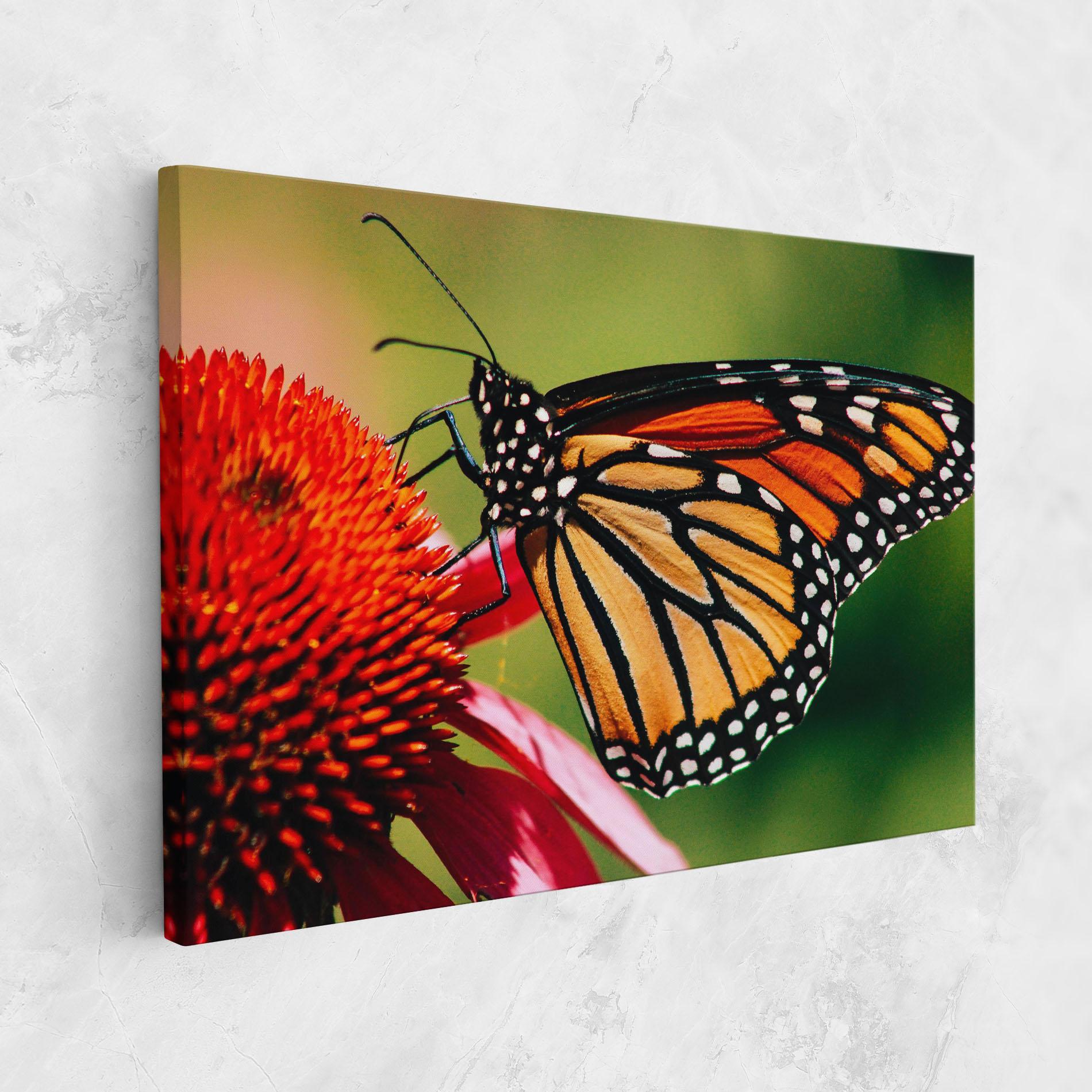Tablou Canvas Big Orange Butterfly mockup 1