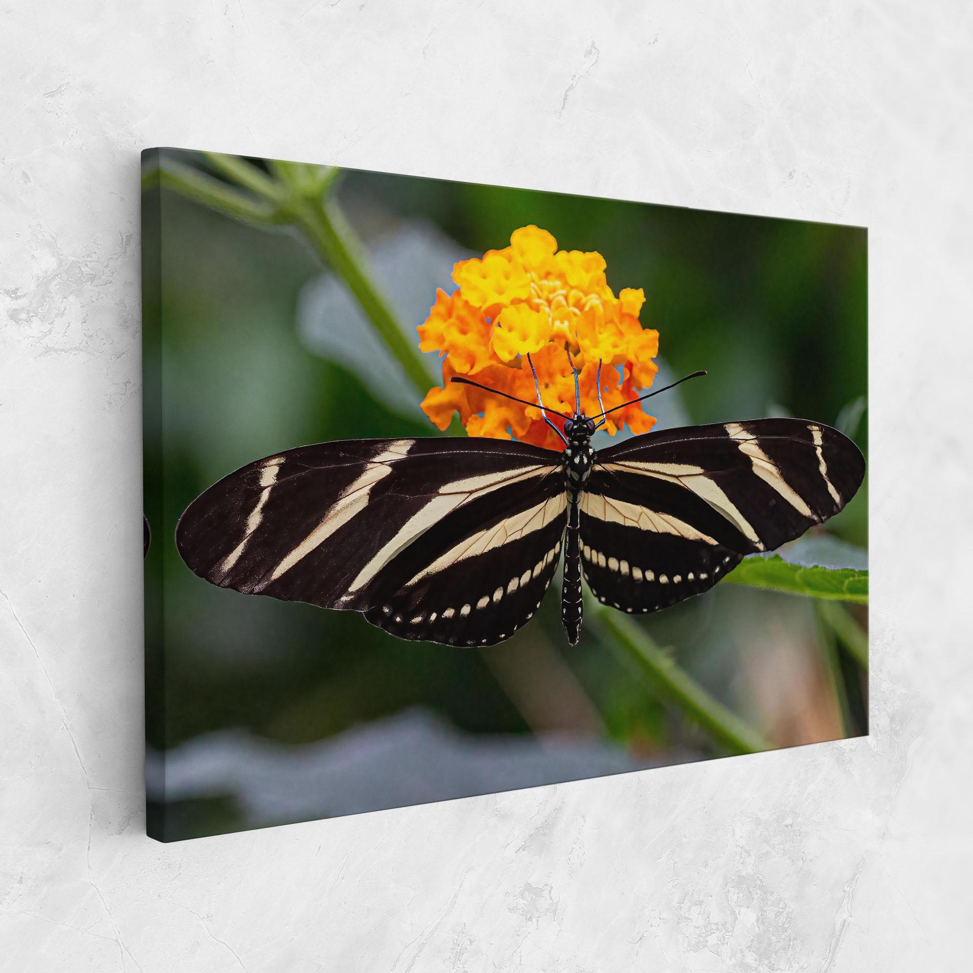Tablou Canvas Big Wings Butterfly mockup 1