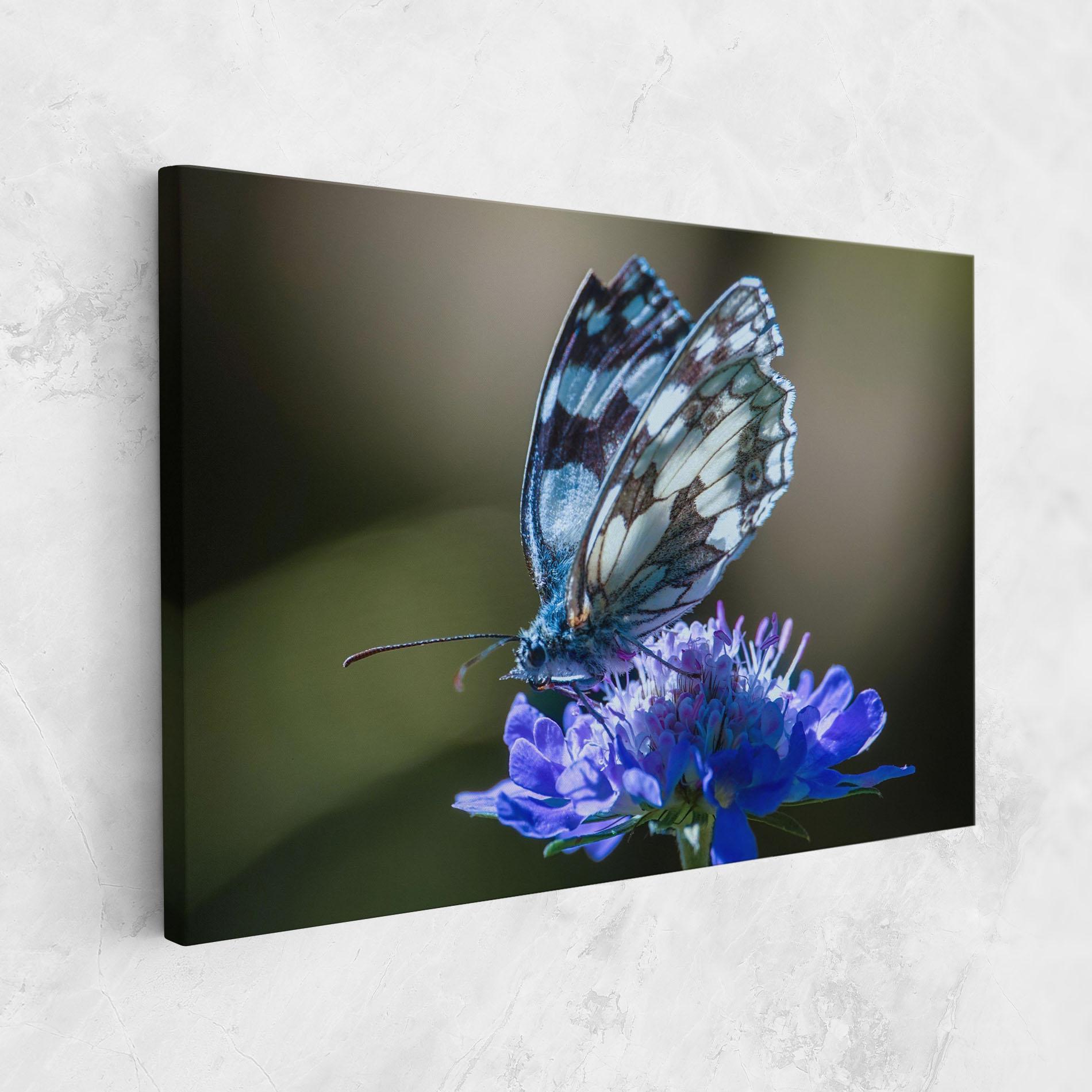 Tablou Canvas Blue Butterfly In Nature mockup 1