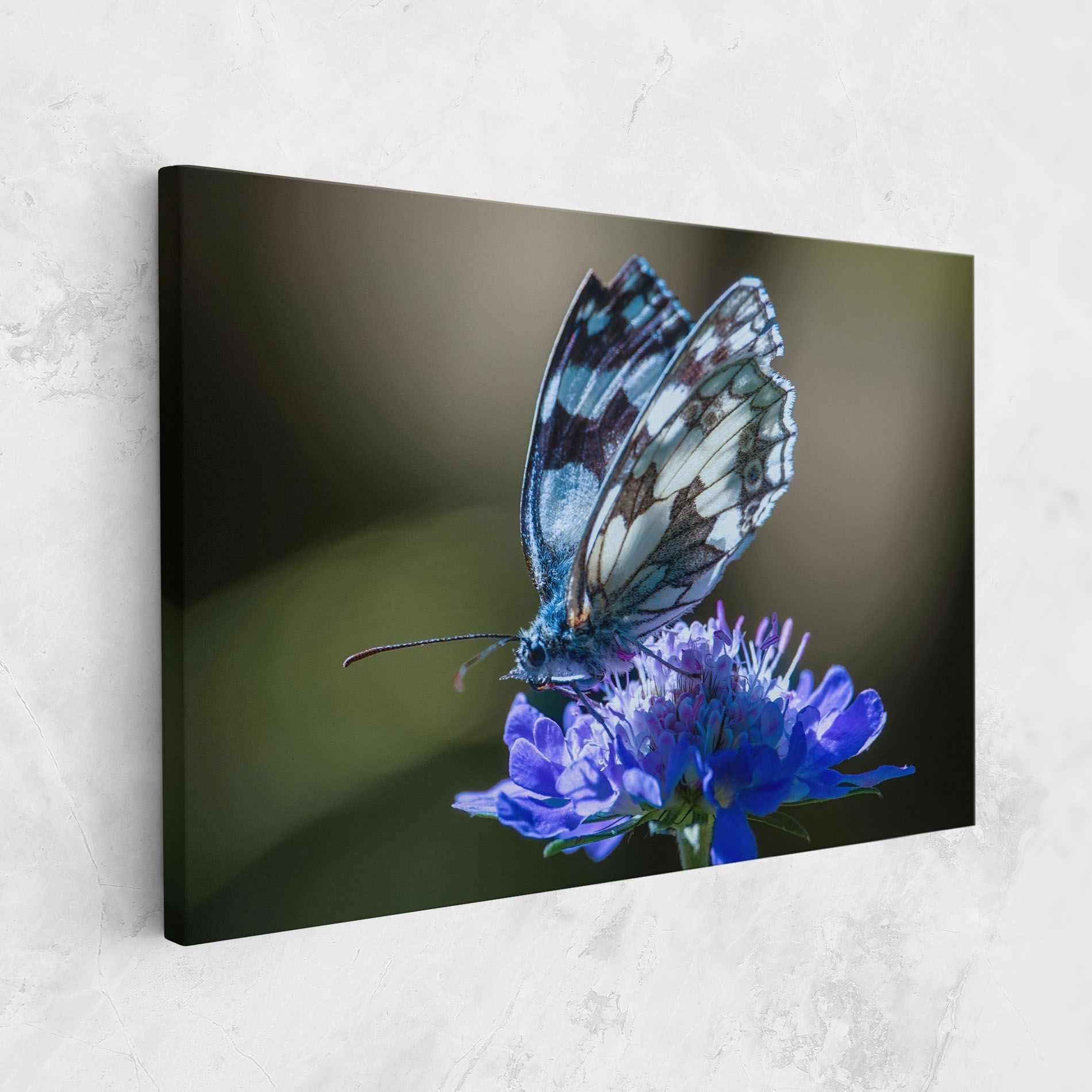 Blue Butterfly In Nature mockup 1