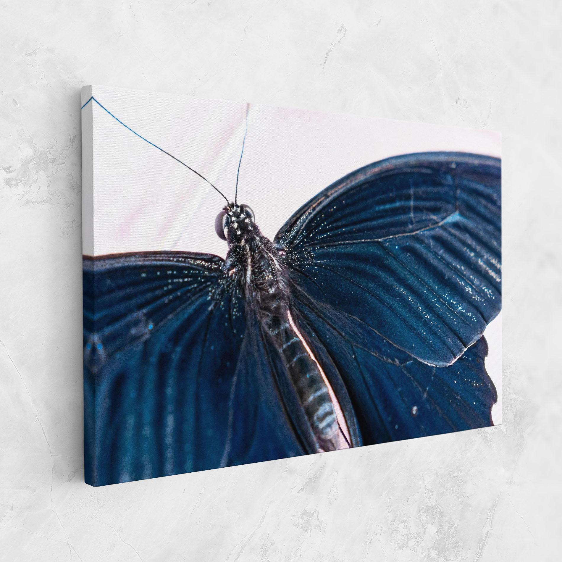 Tablou Canvas Blue Butterfly mockup 1
