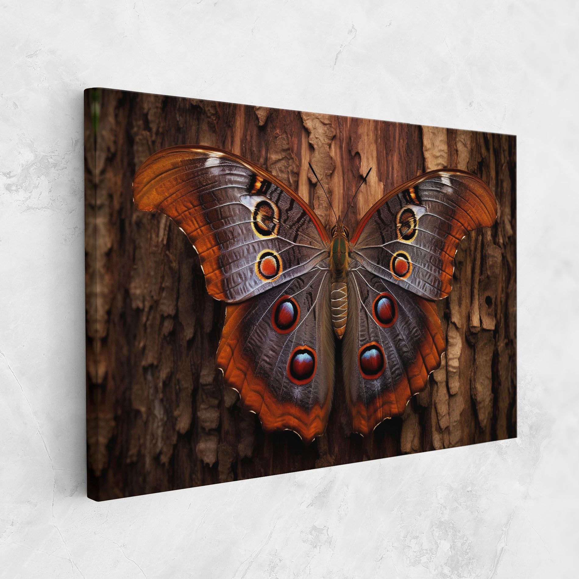 Brown Eyes Butterfly mockup 1