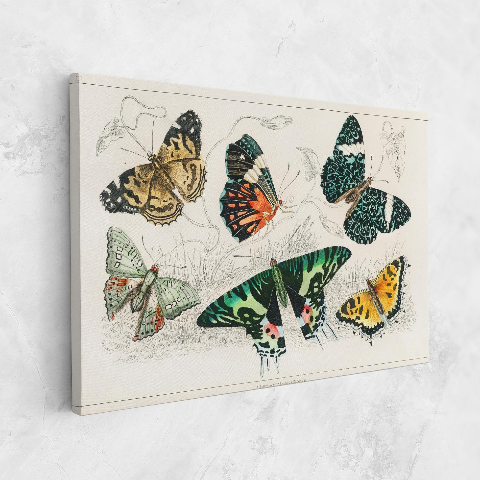 Tablou Canvas Butterfly Art mockup 1