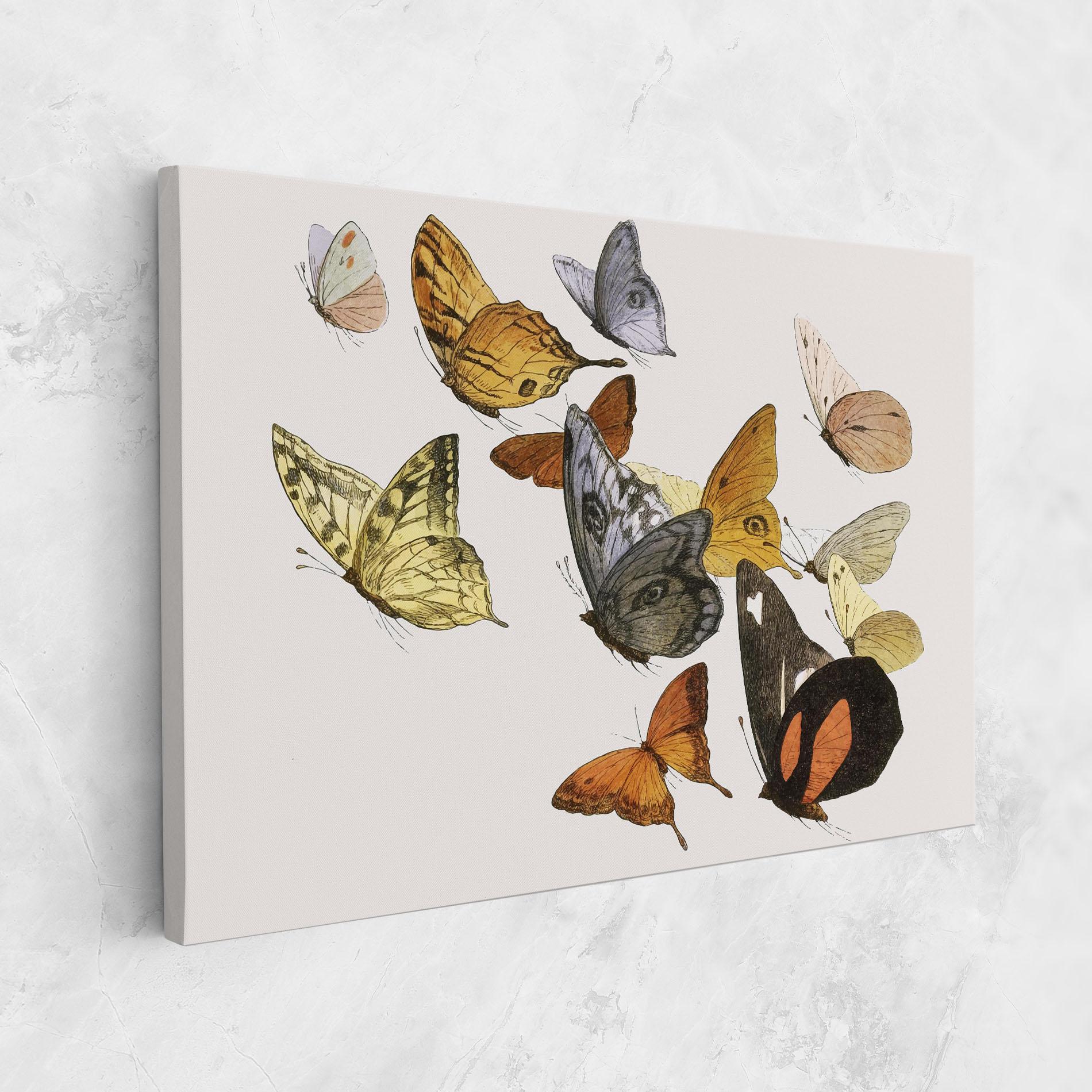 Tablou Canvas Butterfly Floating mockup 1