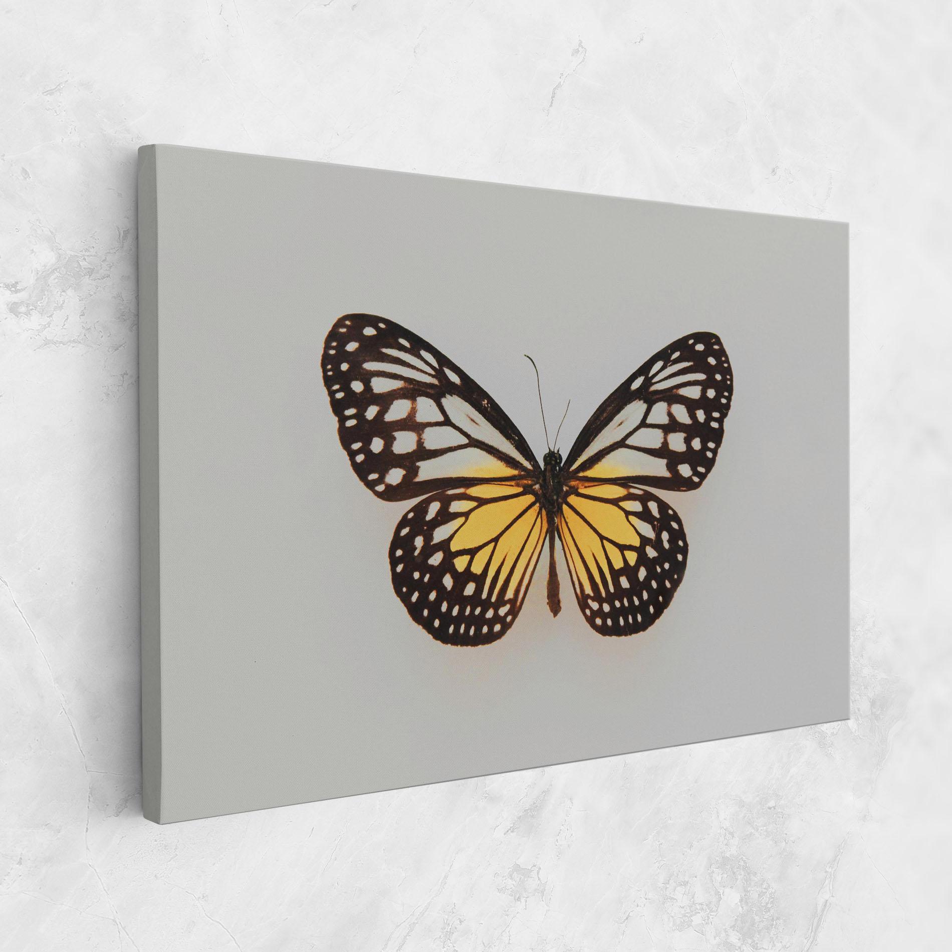 Tablou Canvas Butterfly On Grey mockup 1