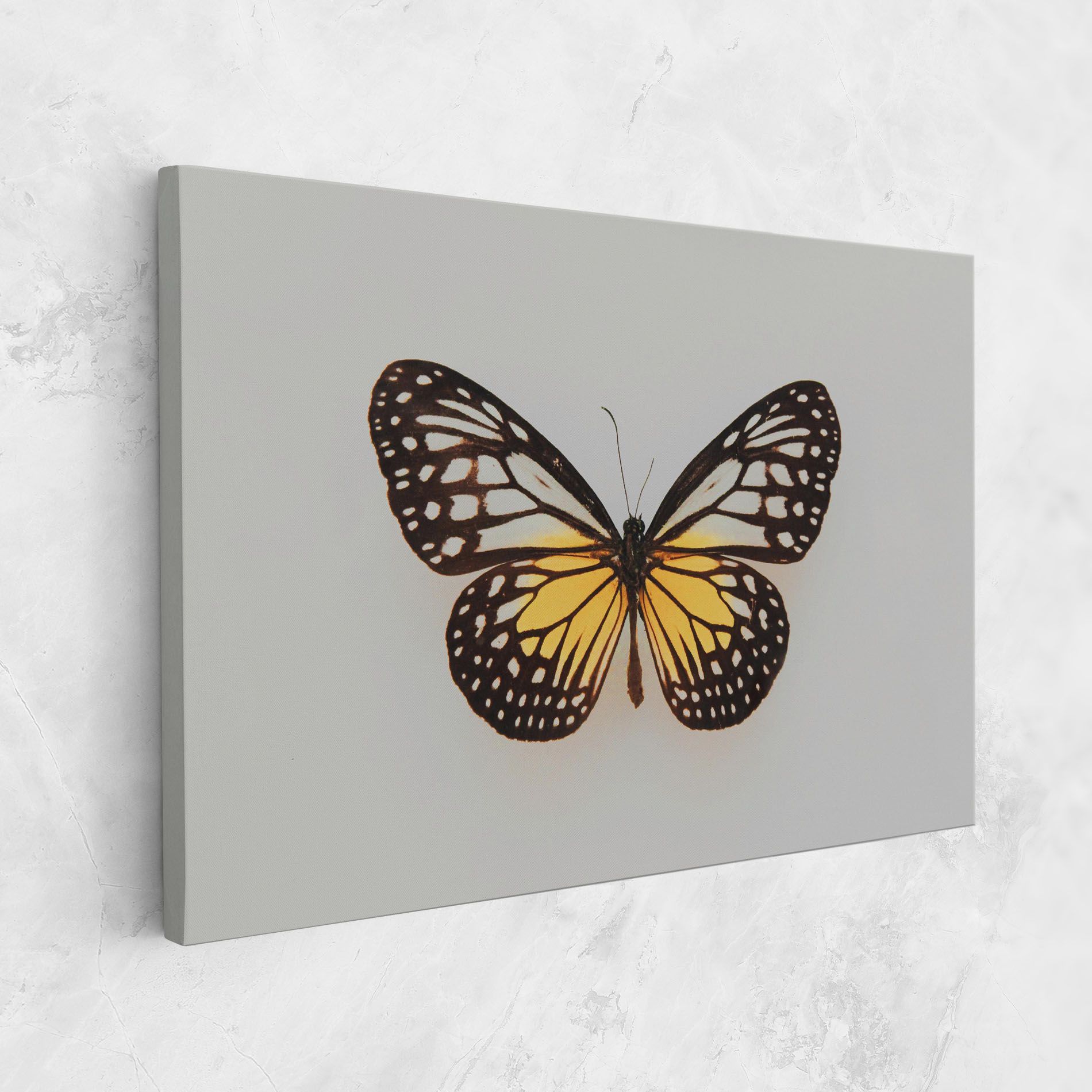 Butterfly On Grey mockup 1