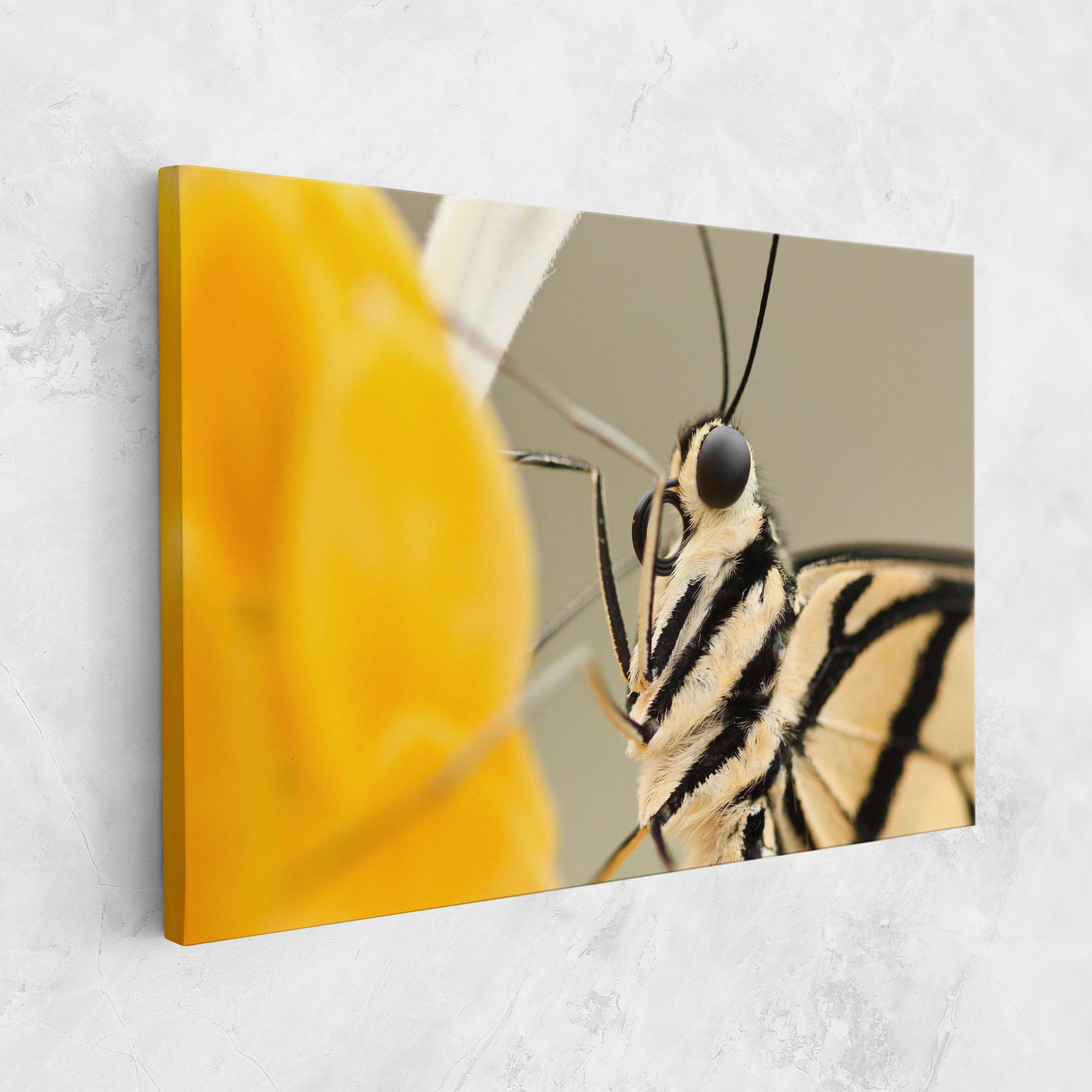 Tablou Canvas Close Up Cream Butterfly mockup 1