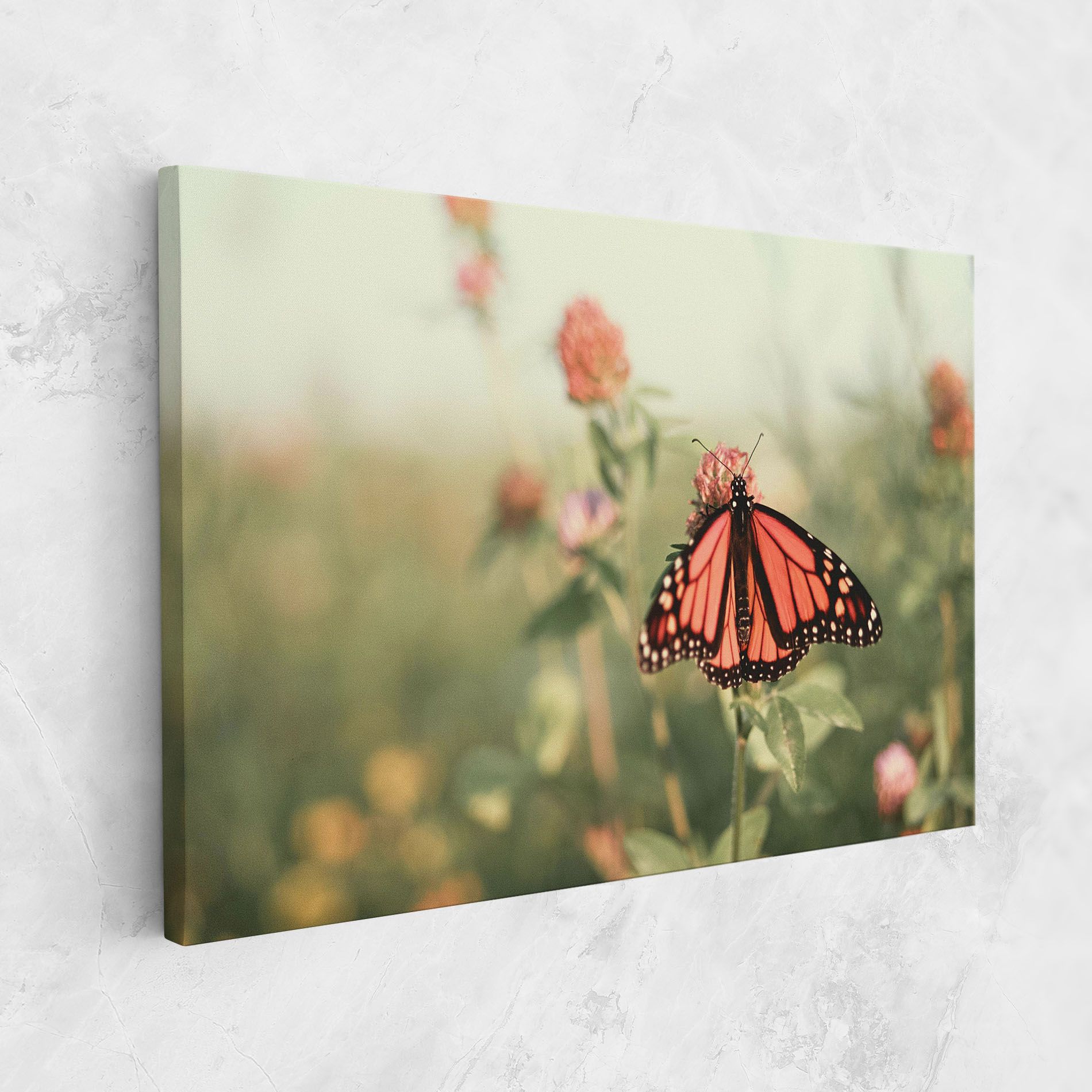 Light Red Butterfly mockup 1