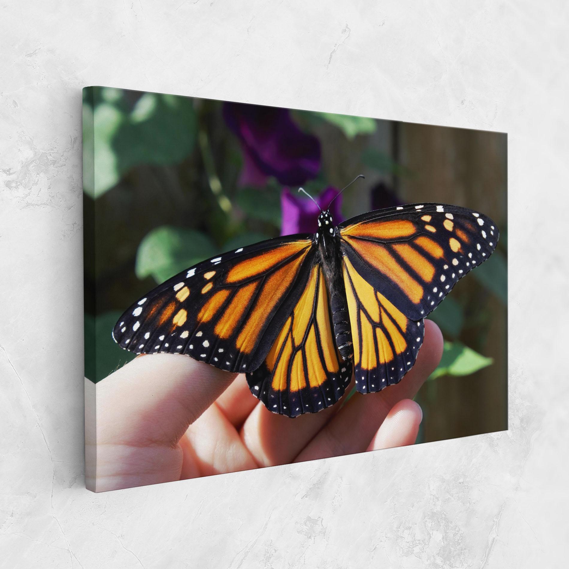 Tablou Canvas Open Orange Butterfly mockup 1
